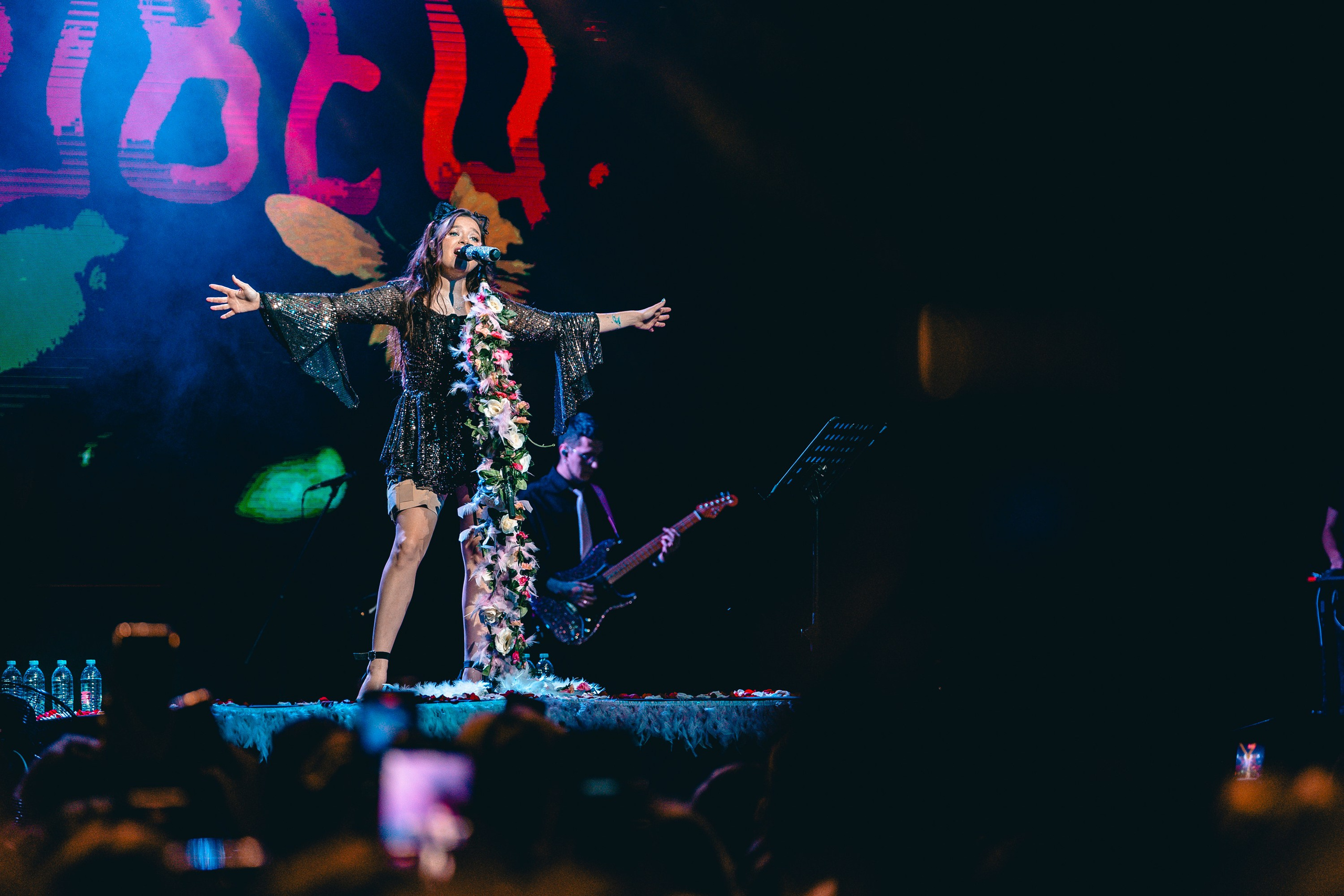 Алена Швец. Магия музыки в кадре: Концертная Фотография