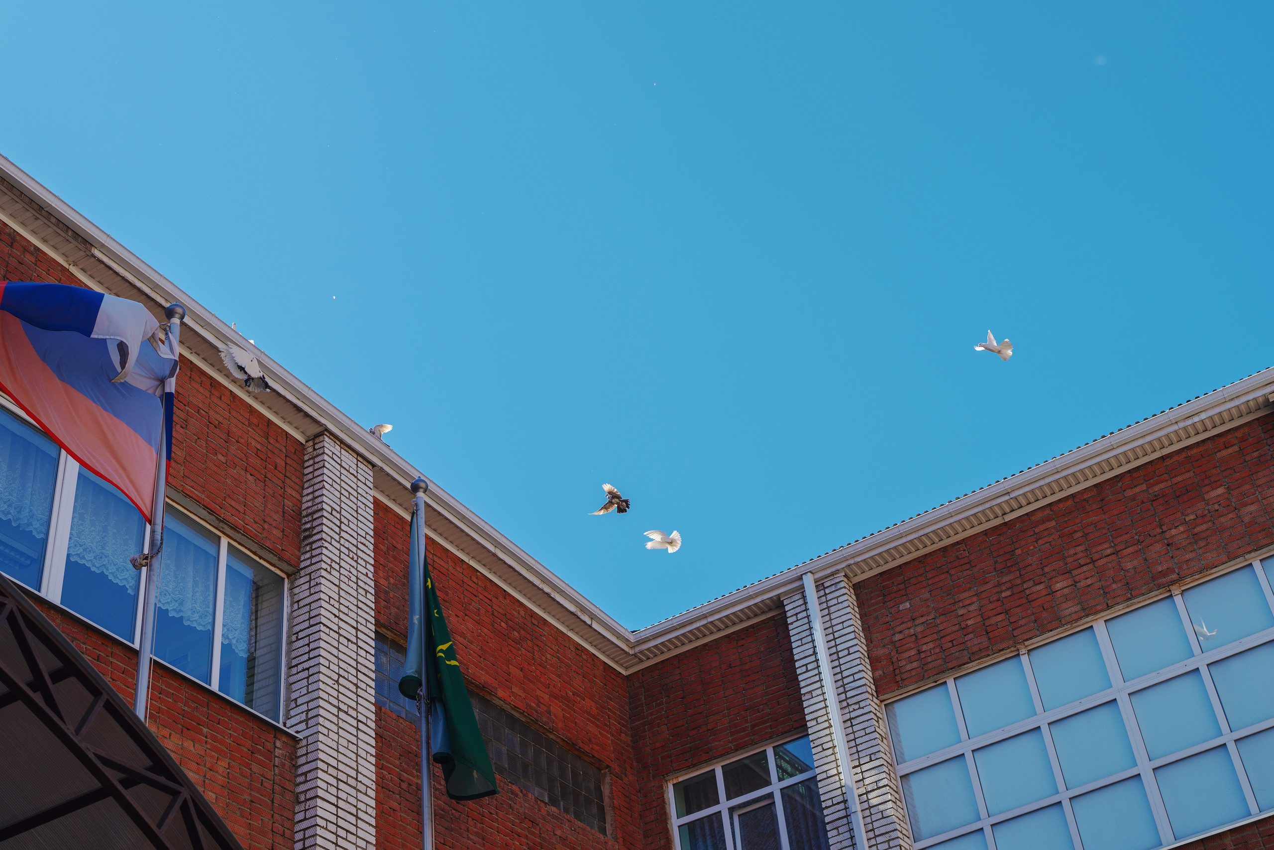 Фотограф в школу