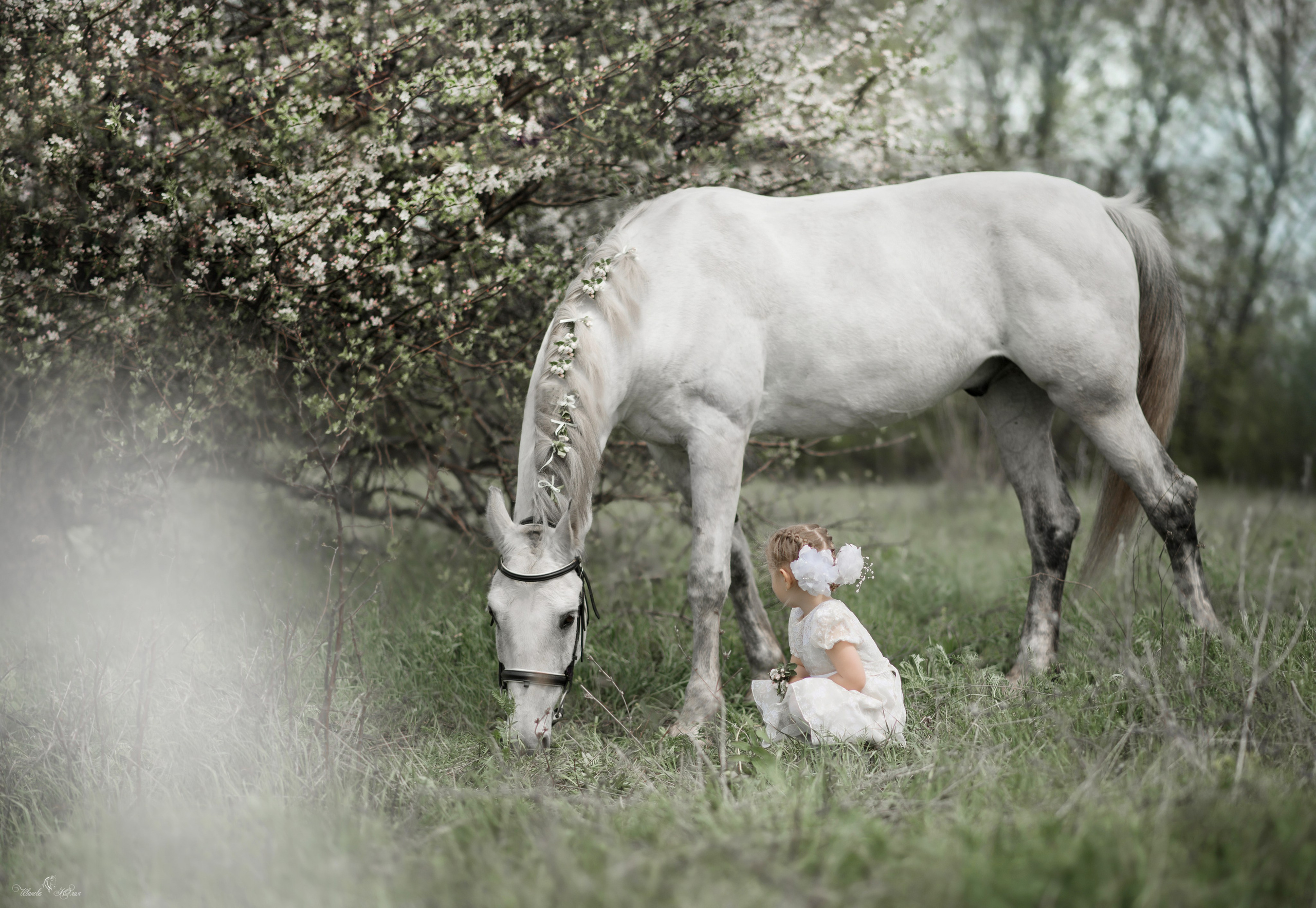Мирослава и Гипноз. Конный фотограф в Саратове Юлия Иванова