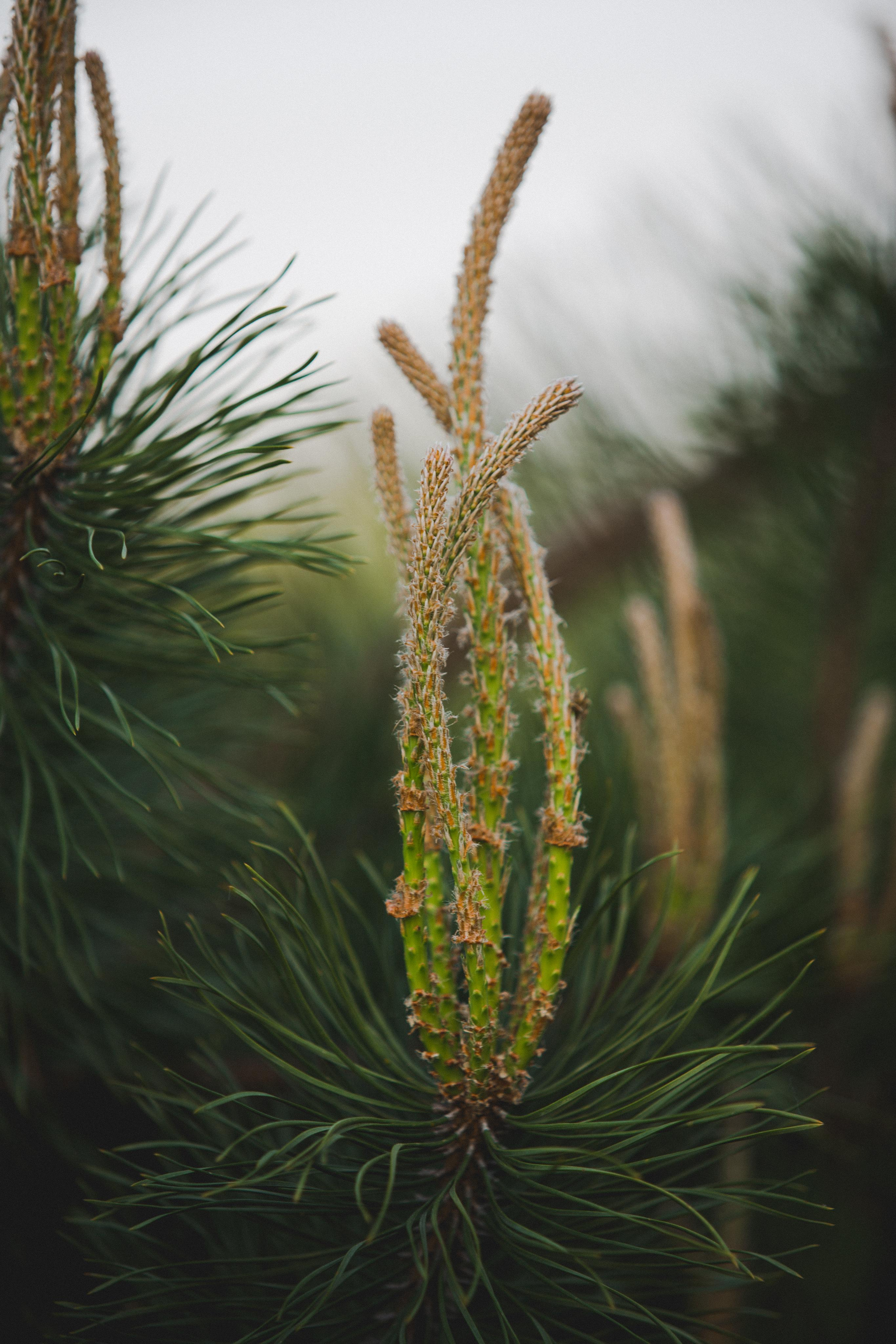 Коллекция пейзажных фотографий. Photographer Sonkina Tatiana (Tanya Ash)