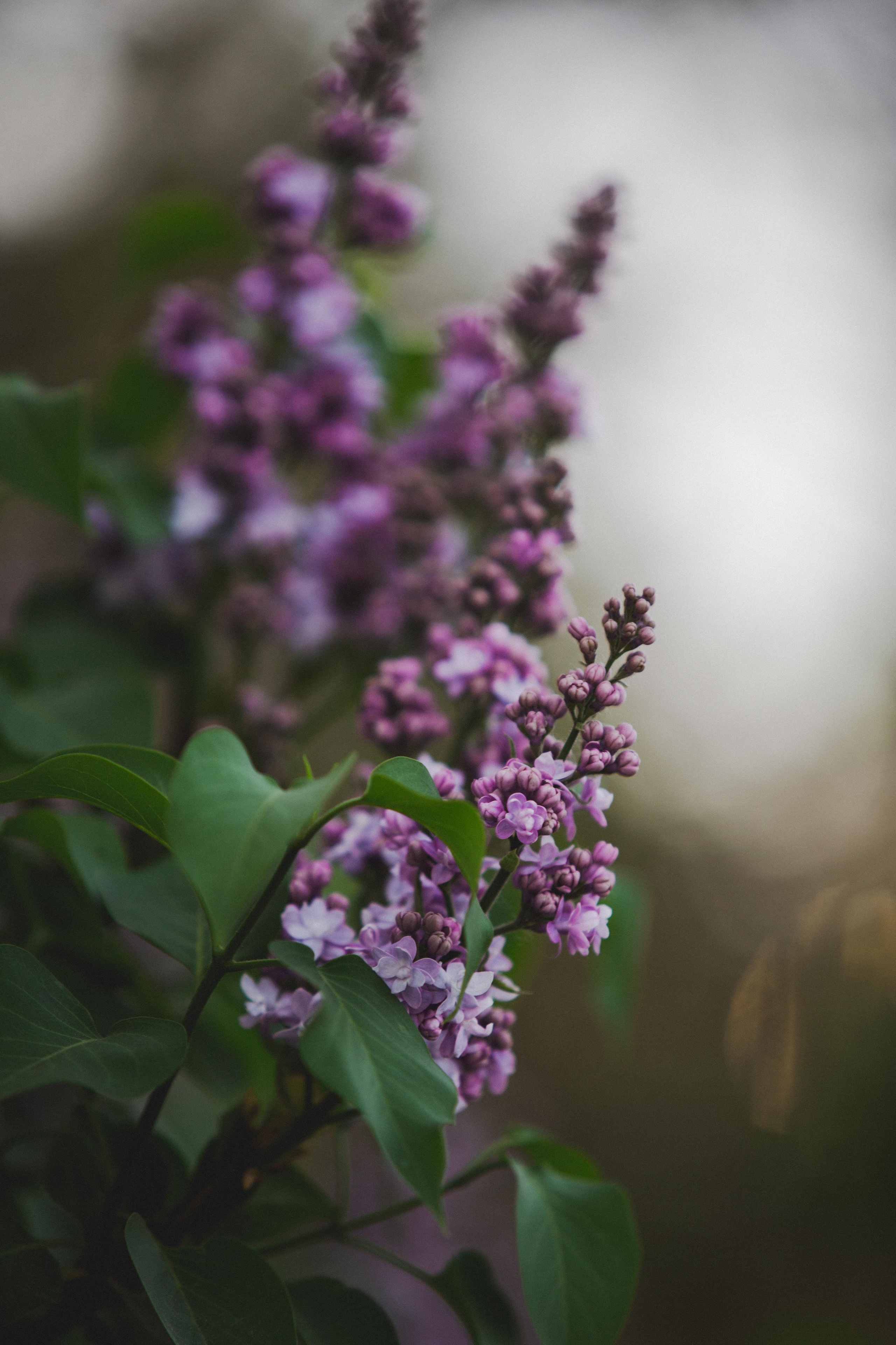 Коллекция пейзажных фотографий. Photographer Sonkina Tatiana (Tanya Ash)