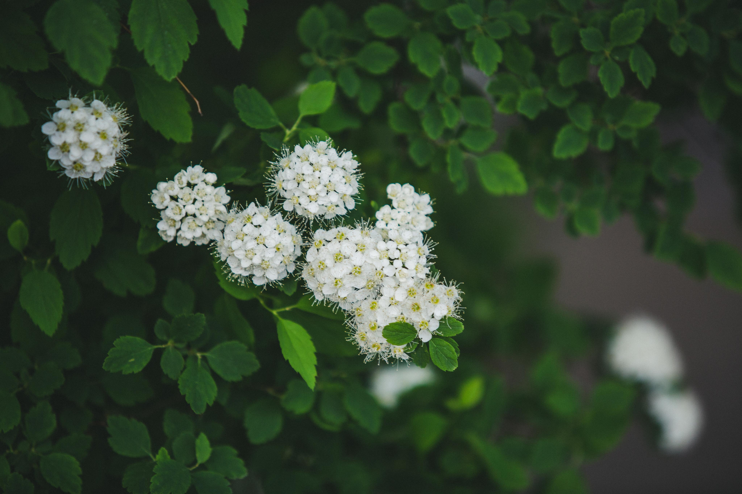 Коллекция пейзажных фотографий. Photographer Sonkina Tatiana (Tanya Ash)