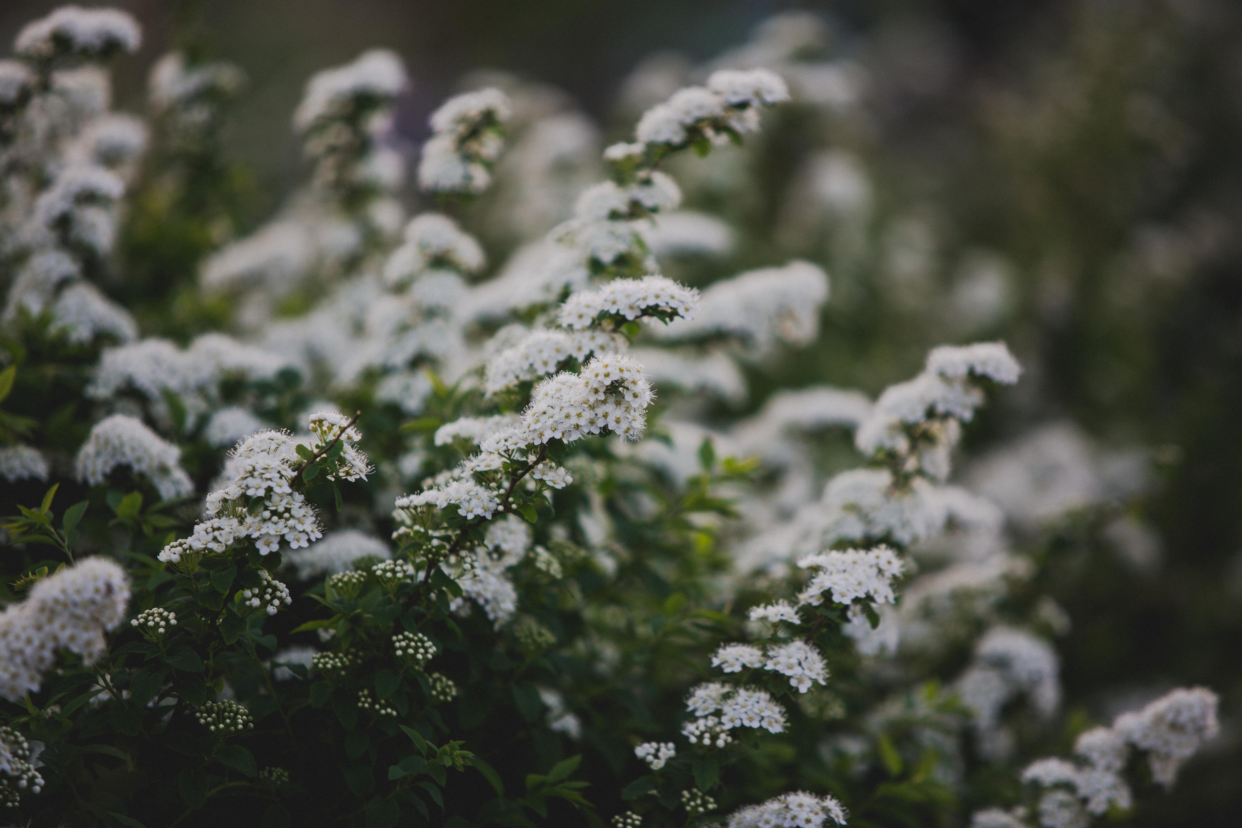 Коллекция пейзажных фотографий. Photographer Sonkina Tatiana (Tanya Ash)