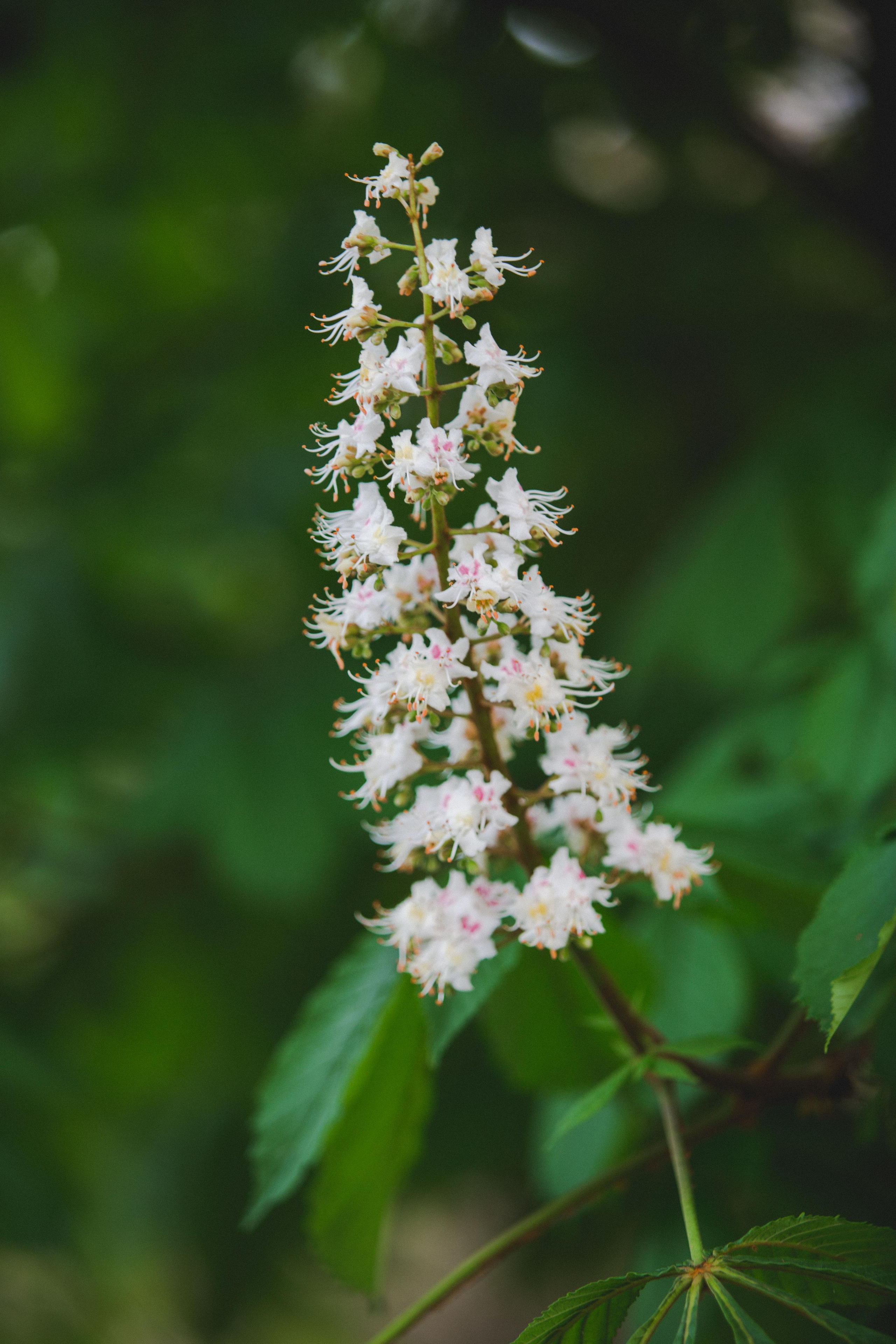 Коллекция пейзажных фотографий. Photographer Sonkina Tatiana (Tanya Ash)