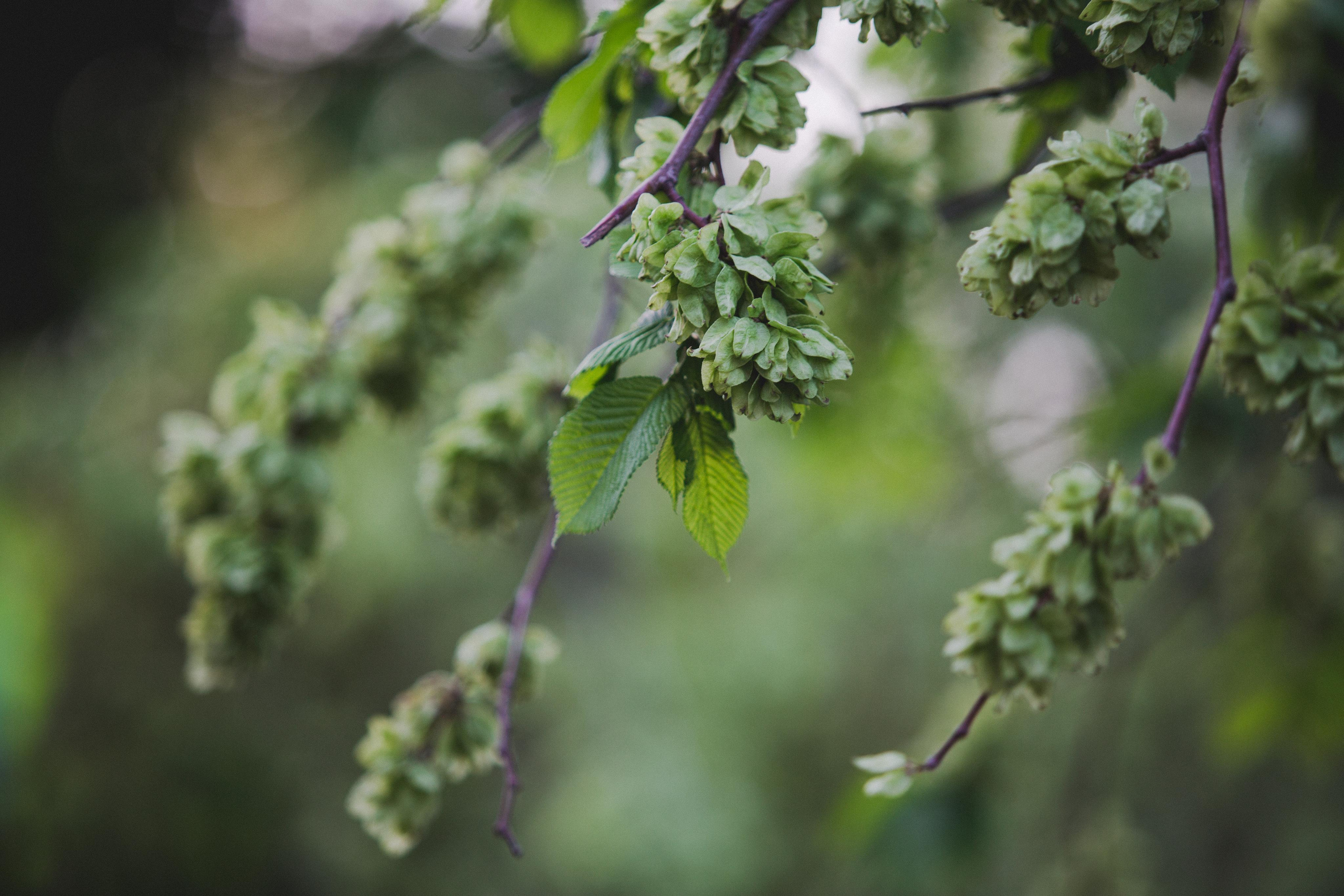 Коллекция пейзажных фотографий. Photographer Sonkina Tatiana (Tanya Ash)