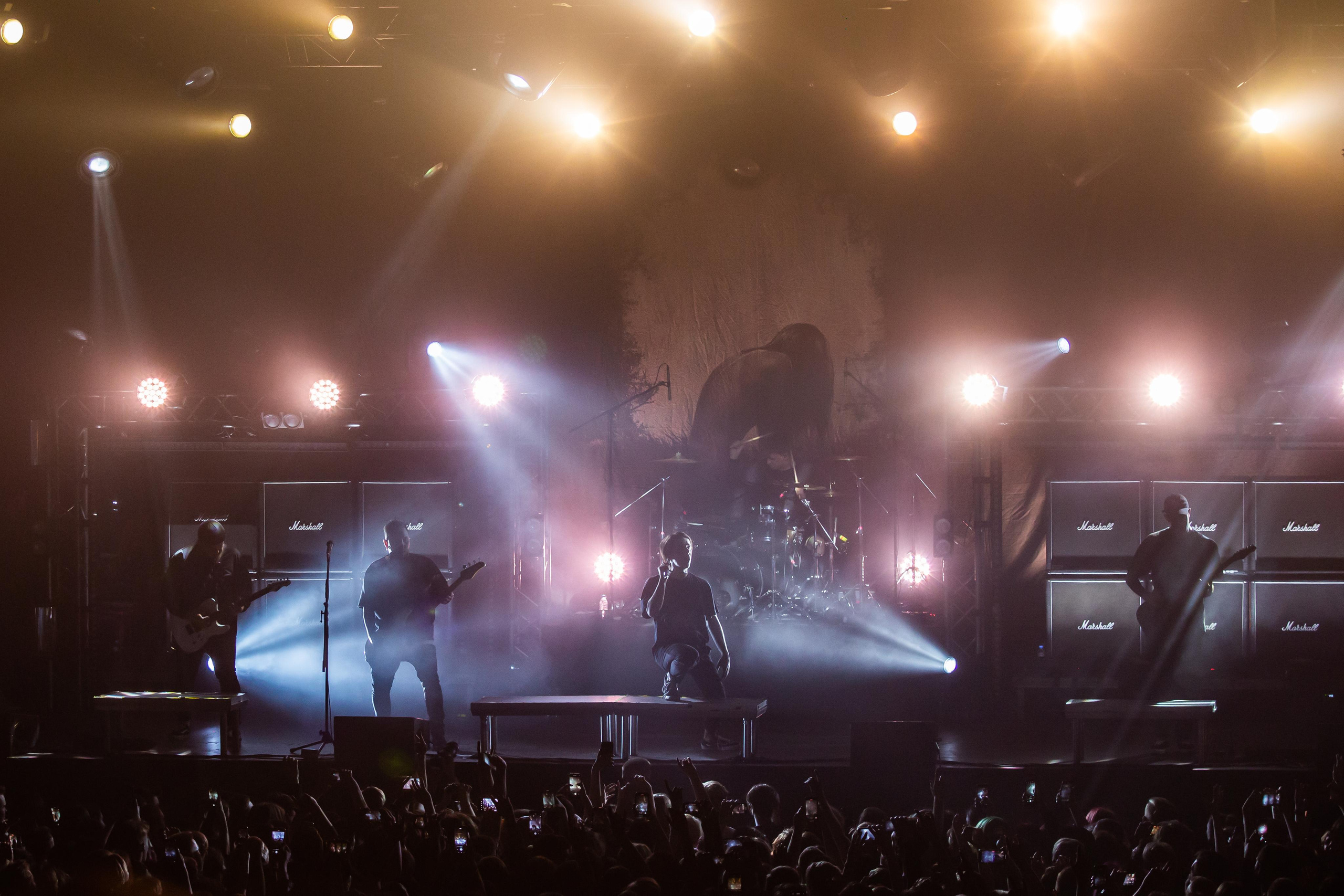 WILDWAYS. Photographer Sonkina Tatiana (Tanya Ash)