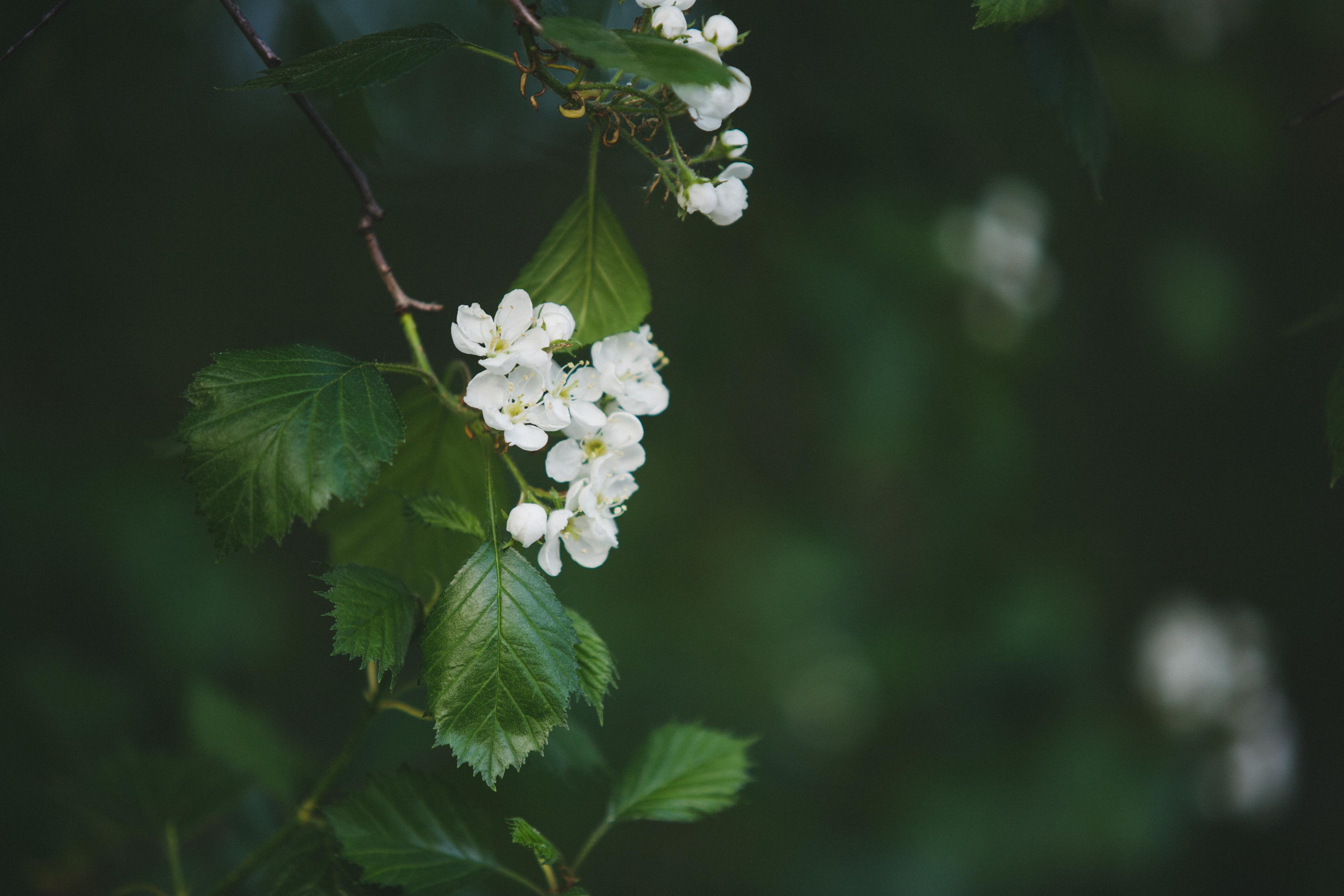 Коллекция пейзажных фотографий. Photographer Sonkina Tatiana (Tanya Ash)