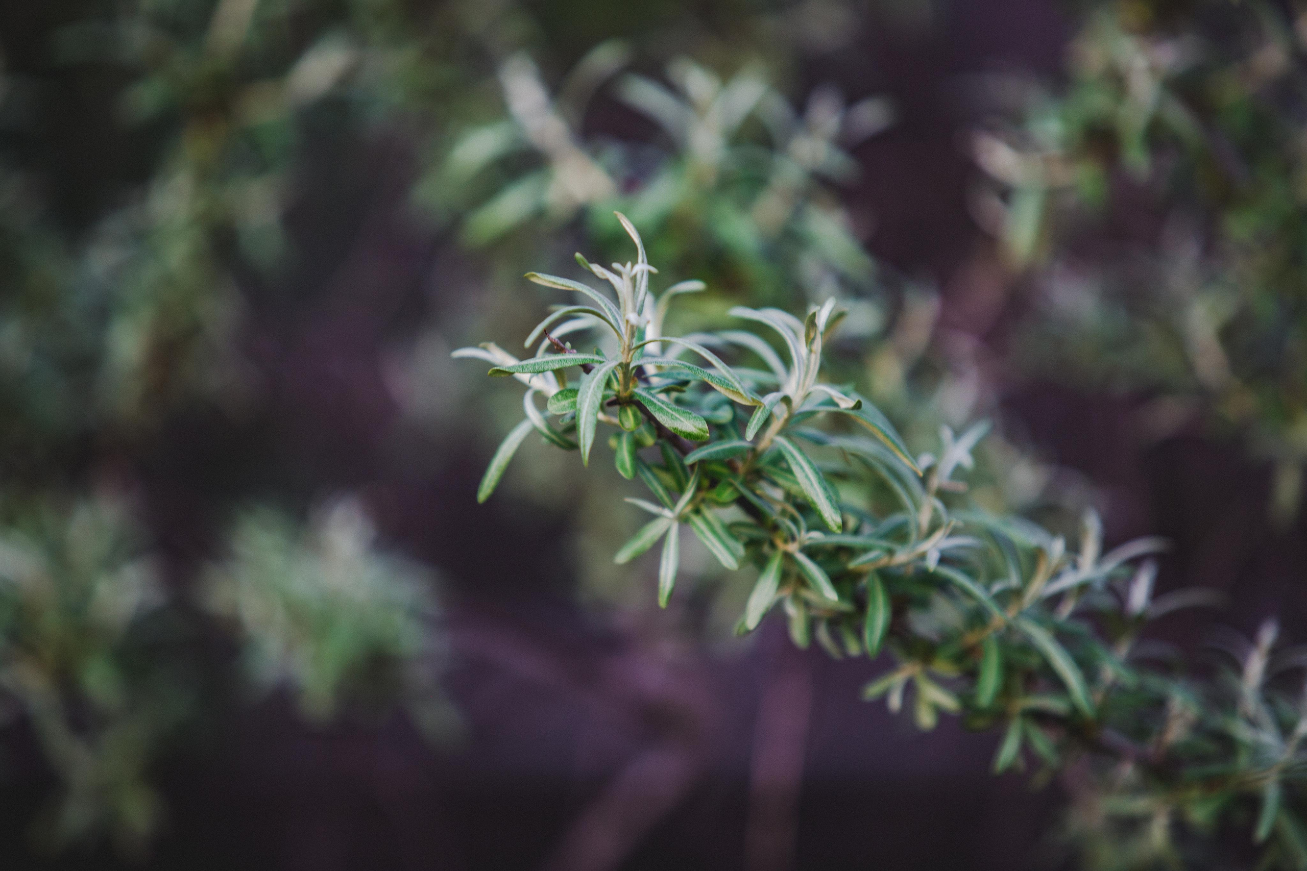 Коллекция пейзажных фотографий. Photographer Sonkina Tatiana (Tanya Ash)