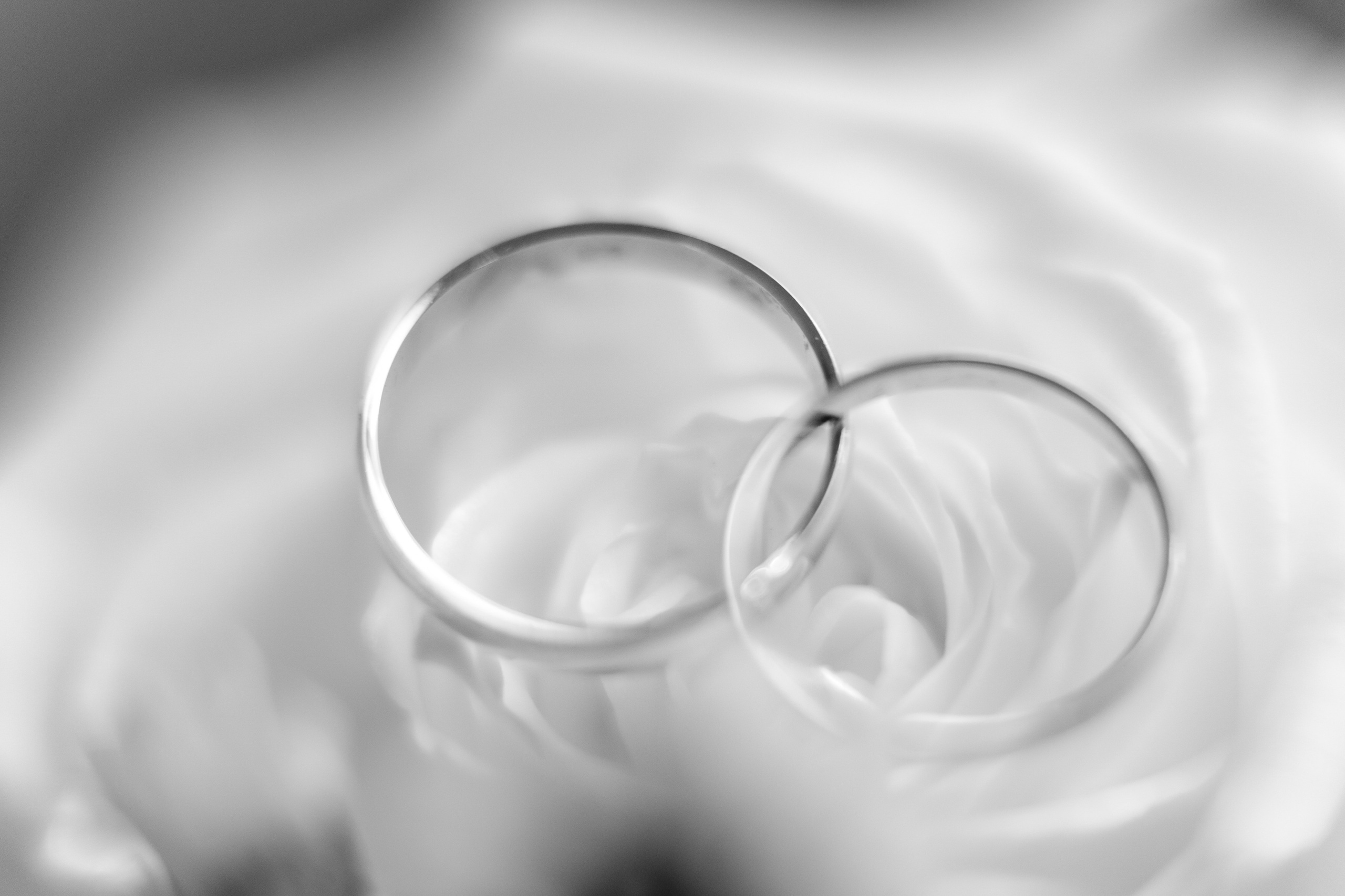 Даниил + Алина