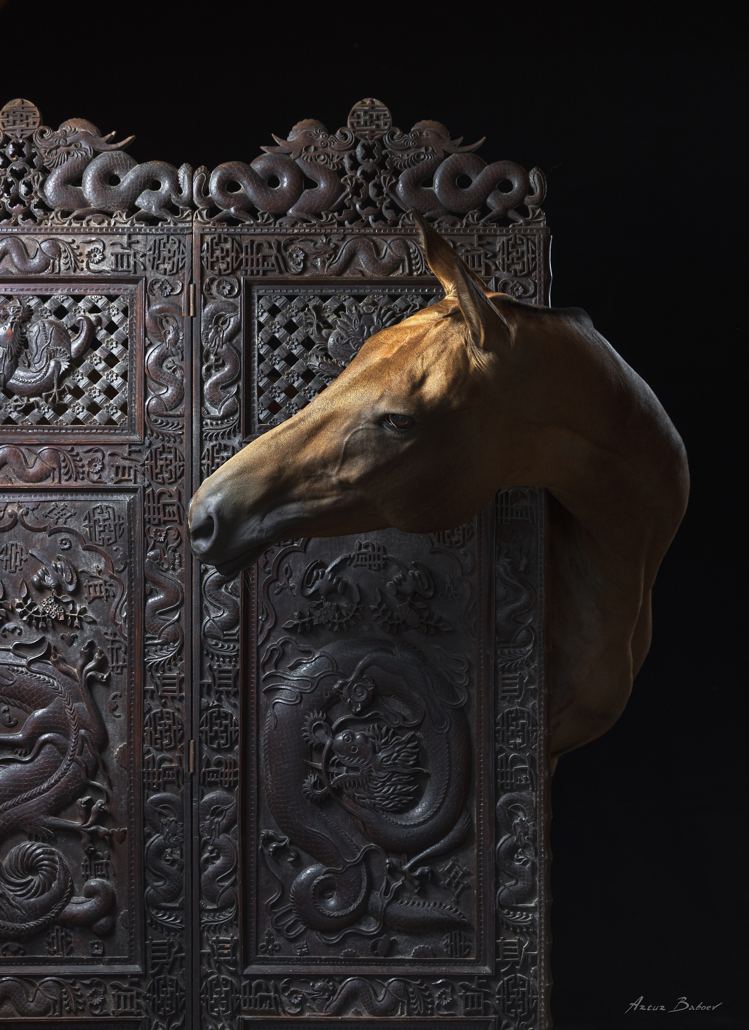 Art photos of horses — ARTUR BABOEV | Photographer