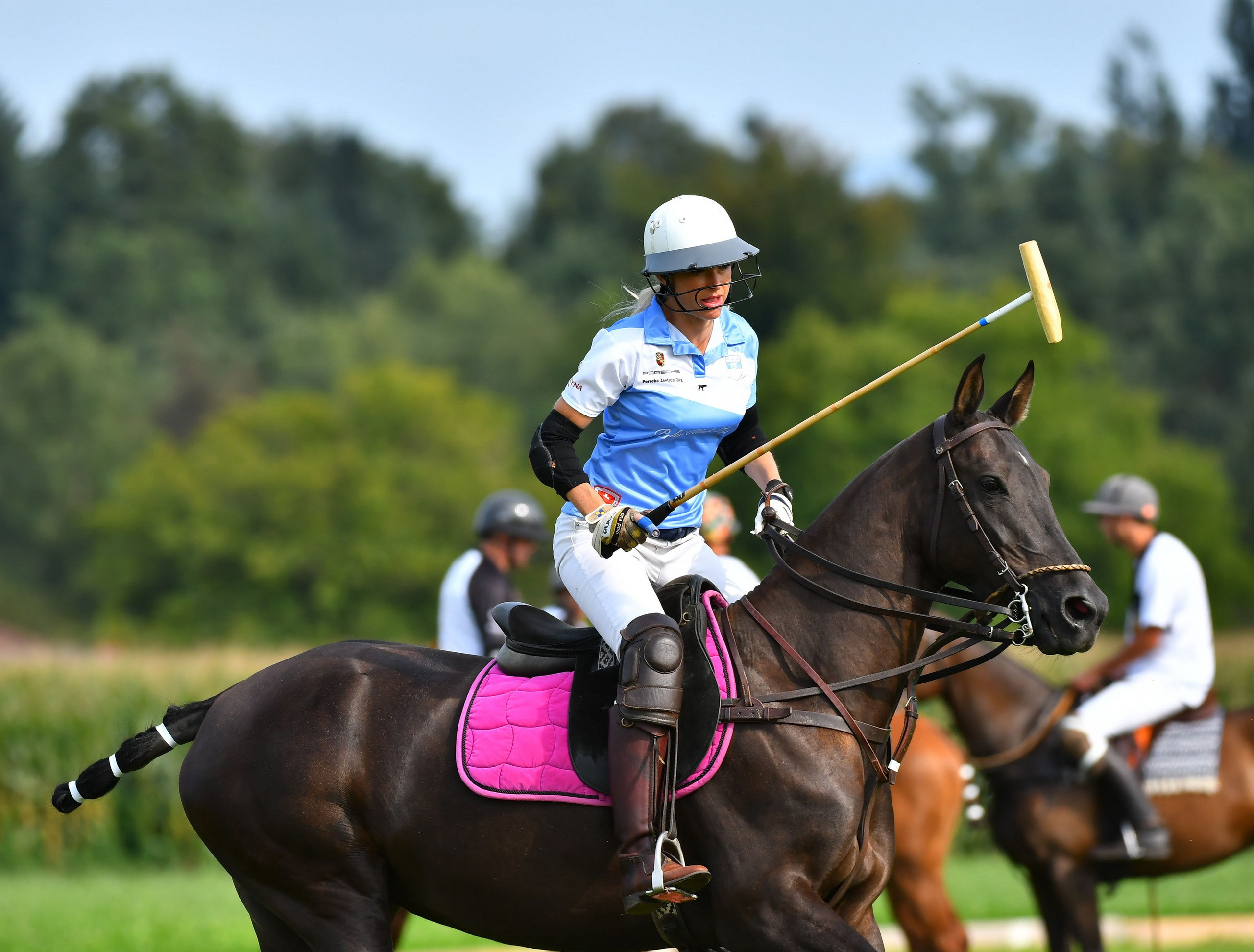 Polo art photos. Art photos of horses — ARTUR BABOEV | Photographer