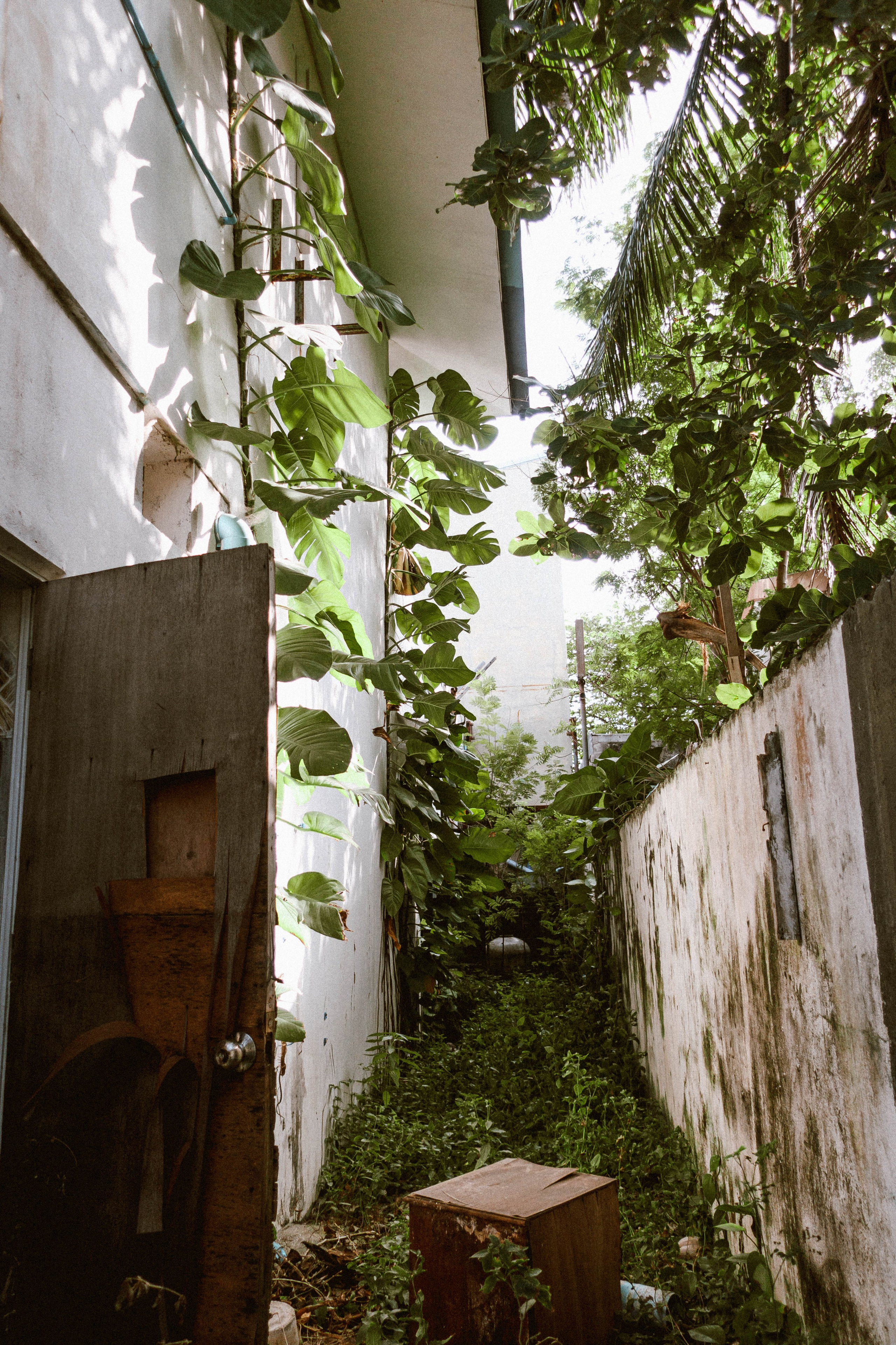 О.Тулусду. Мальдивы. Фотограф Светлана Голицына