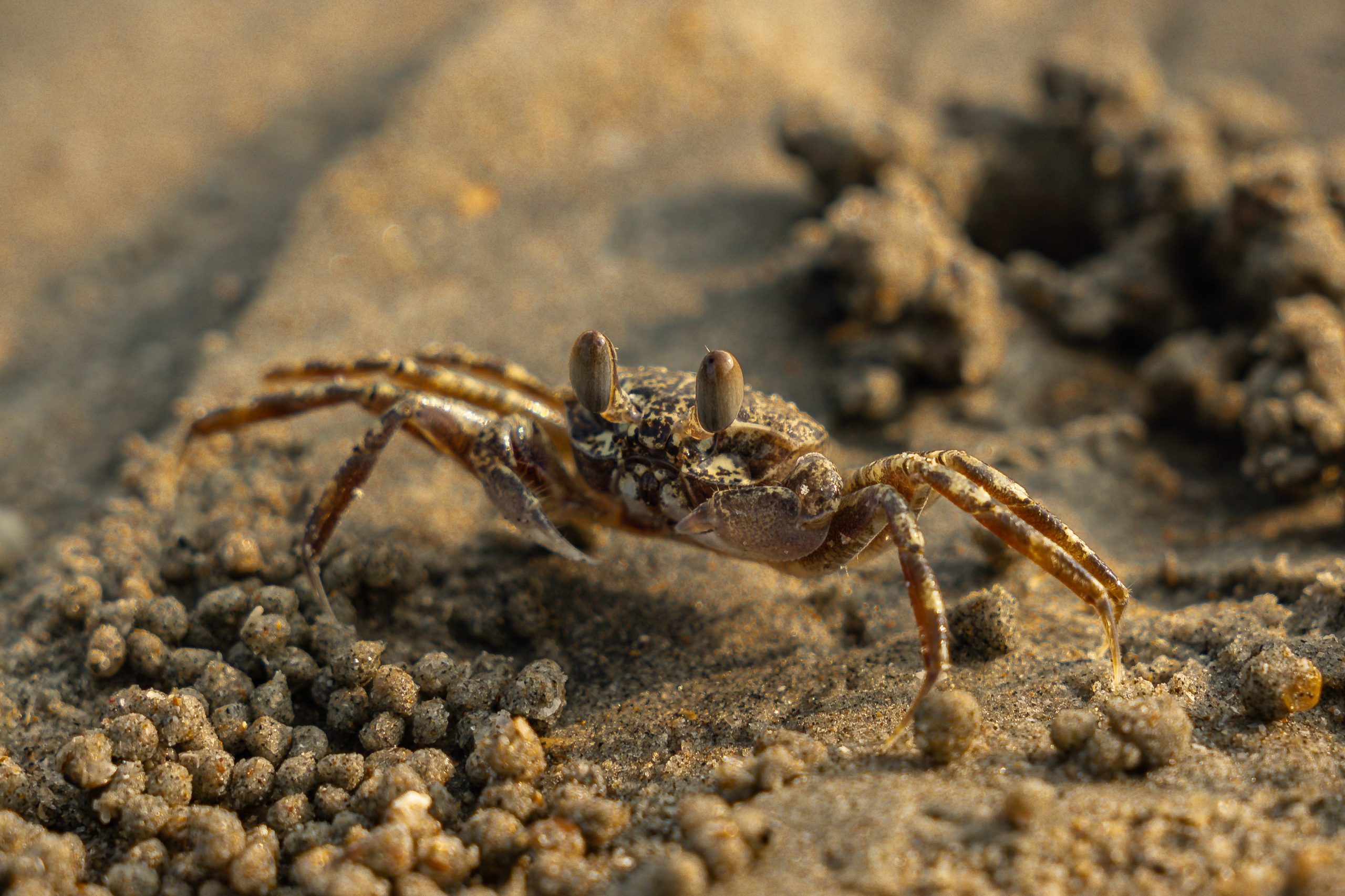 Фотограф Дмитрий Жилин