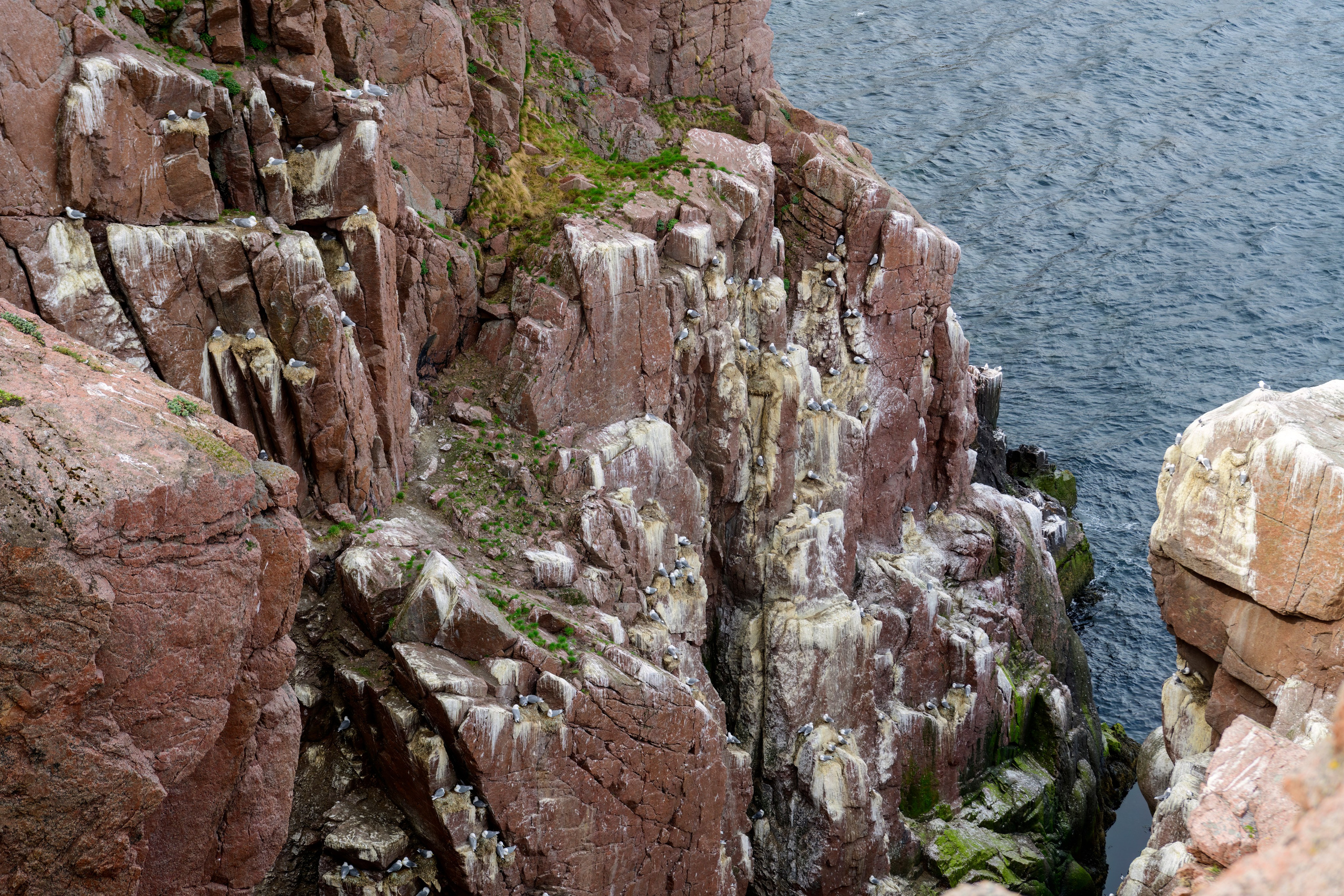 Мурманская область. Июнь 2024. Фотограф Сергей Пупонин
