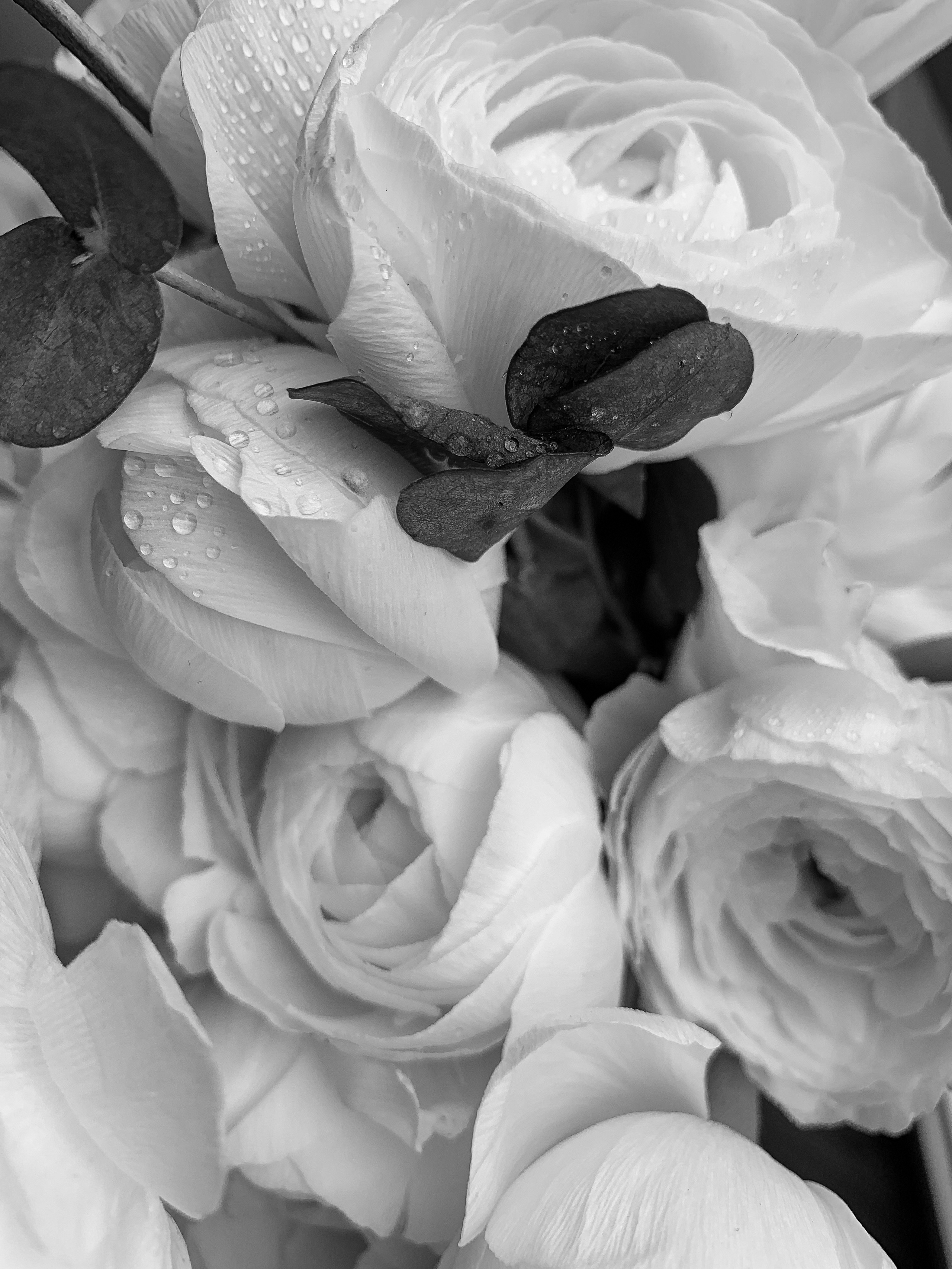 Вероника. Стилист. Имиджмейкер. Фото l Ретушь l Контент в Москве. Андреева Марина