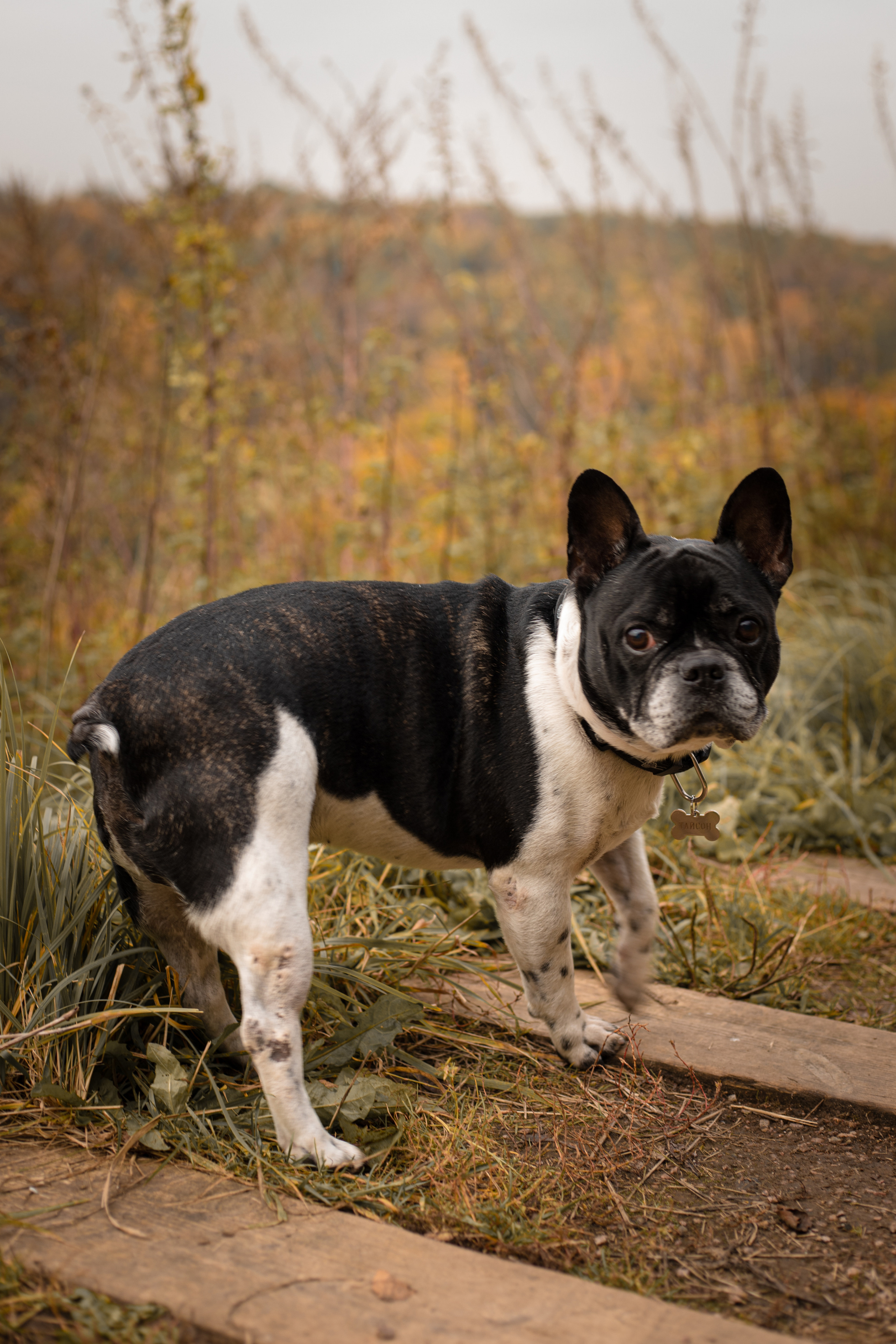 Юля, Саша и Максим. Фото l Ретушь l Контент в Москве. Андреева Марина