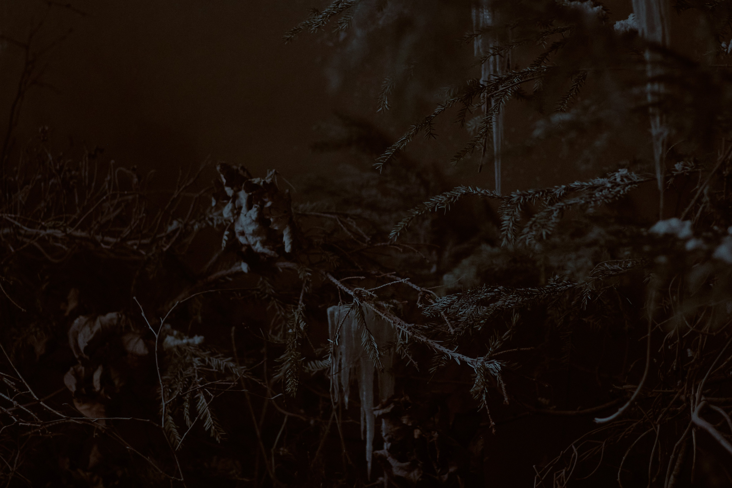 Тень. Фотограф лавстори Москва/МО Приятелева Ангелина