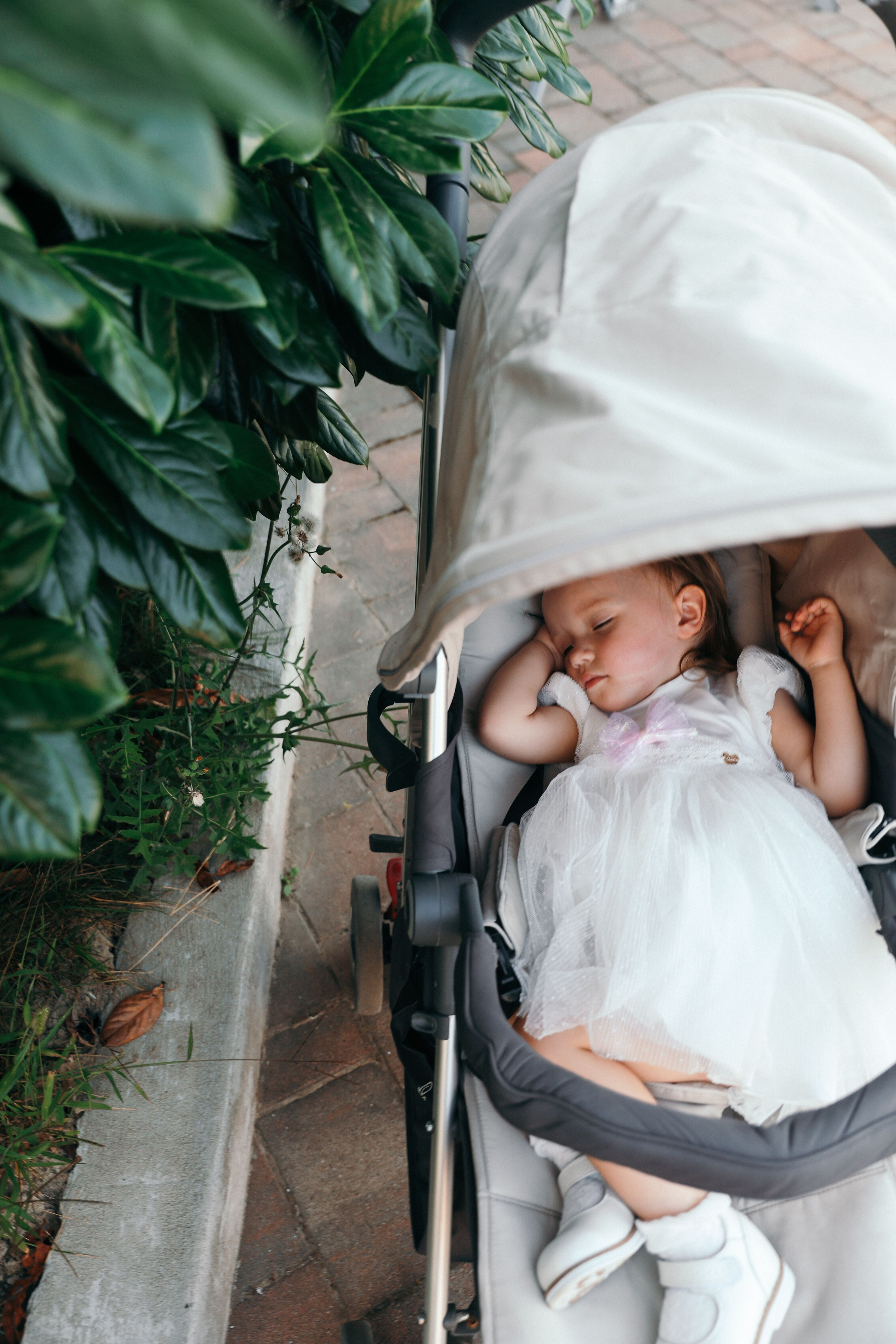 Анонс свадьба в Сочи Александр и Екатерина. Свадебный и семейный фотограф в Севастополе и Крыму Анастасия Сураева