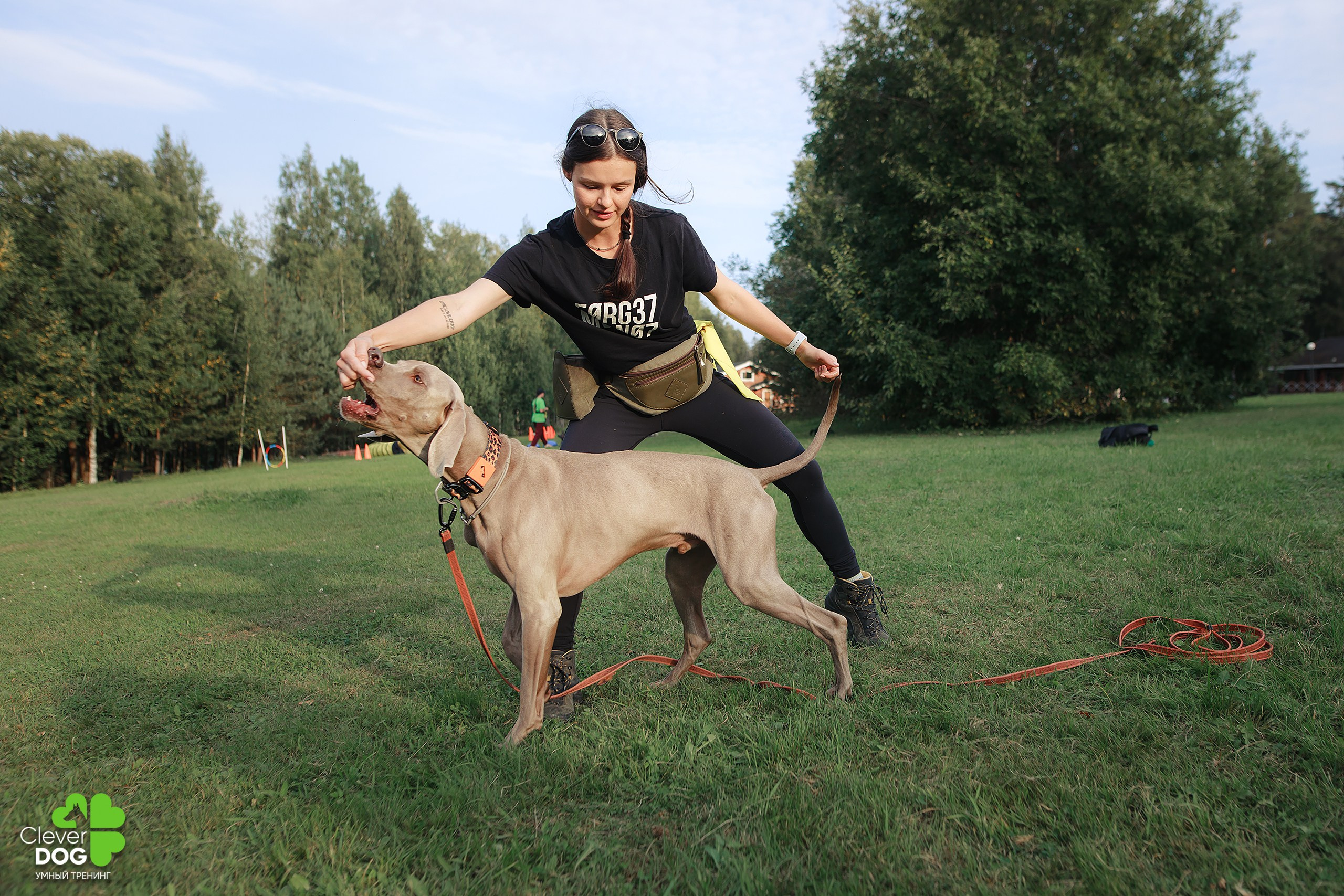 Кинологический лагерь CleverDog, 2024. Фотограф-анималист Mary Mart — Москва, Питер