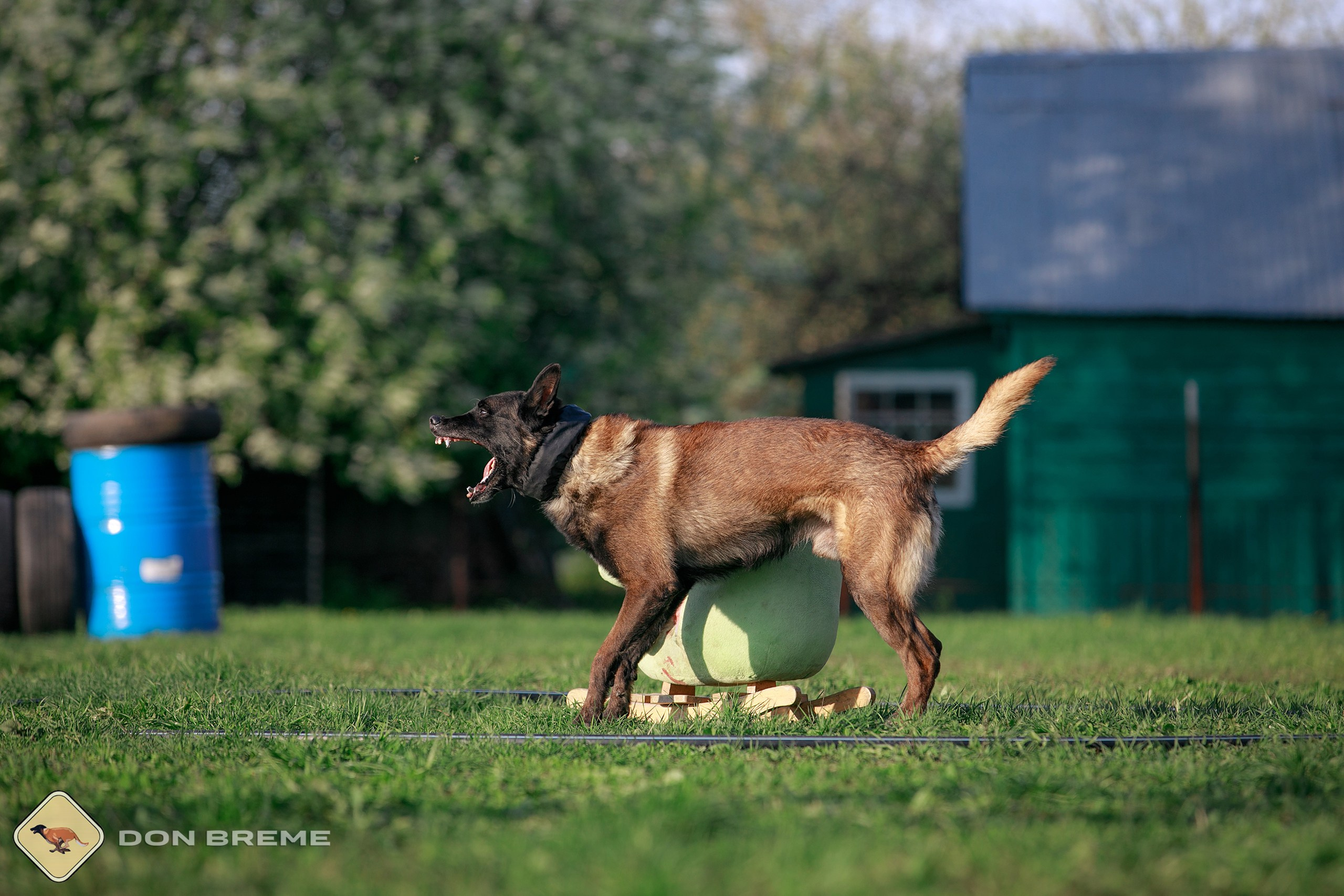 Семинар для фигурантов, день 4. Фотограф-анималист Mary Mart — Москва, Питер