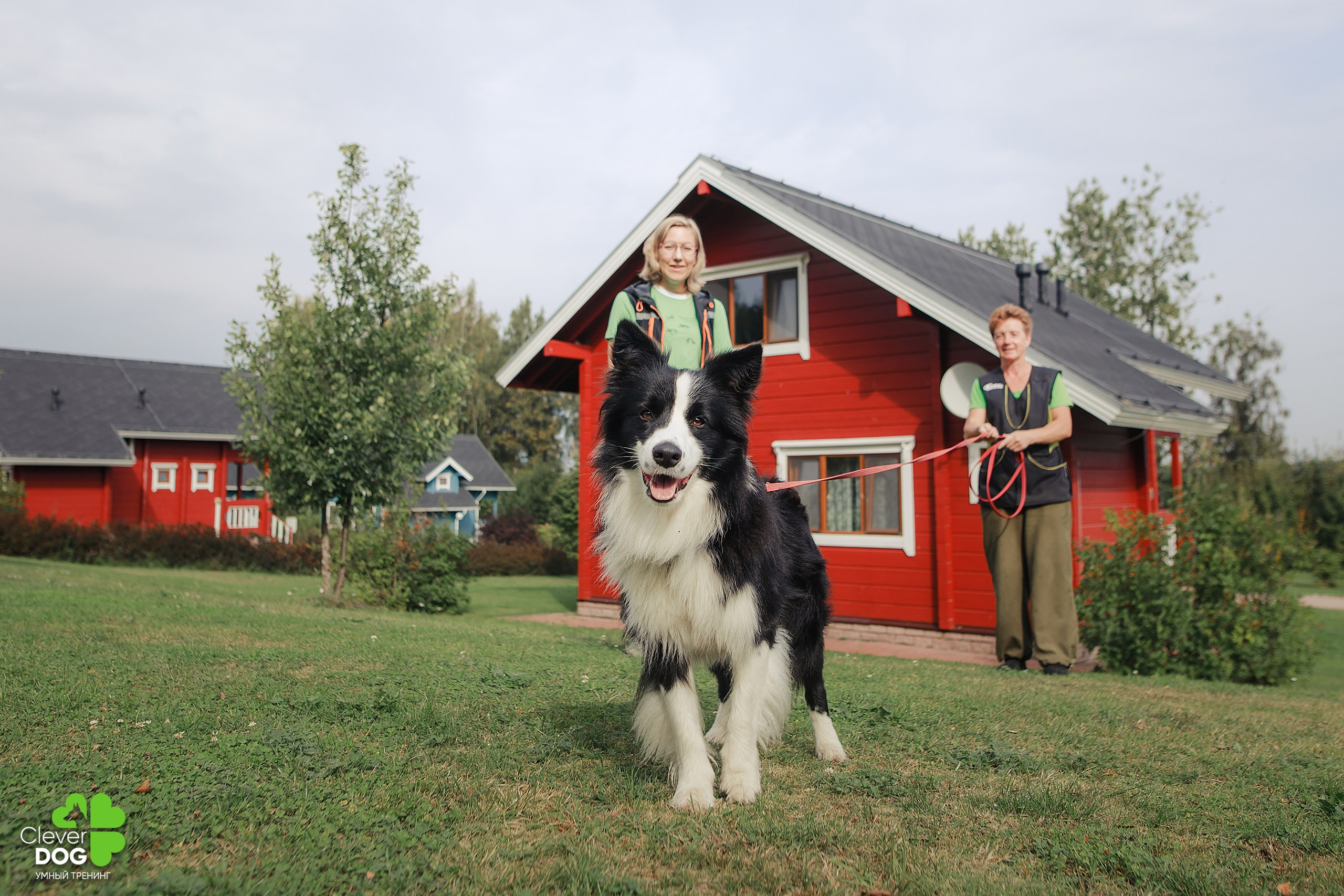Кинологический лагерь CleverDog, 2024. Фотограф-анималист Mary Mart — Москва, Питер