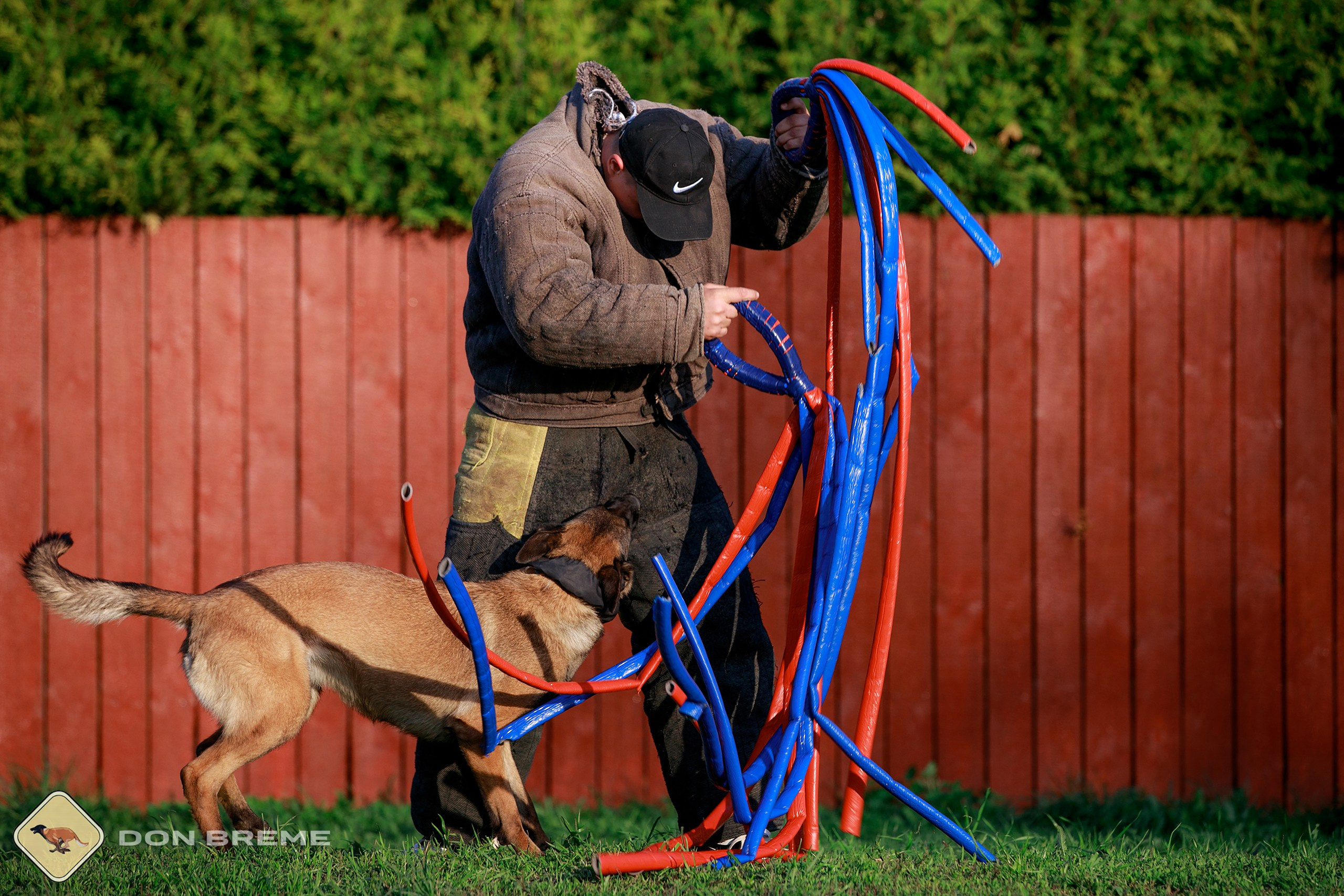 Семинар для фигурантов, день 4. Фотограф-анималист Mary Mart — Москва, Питер