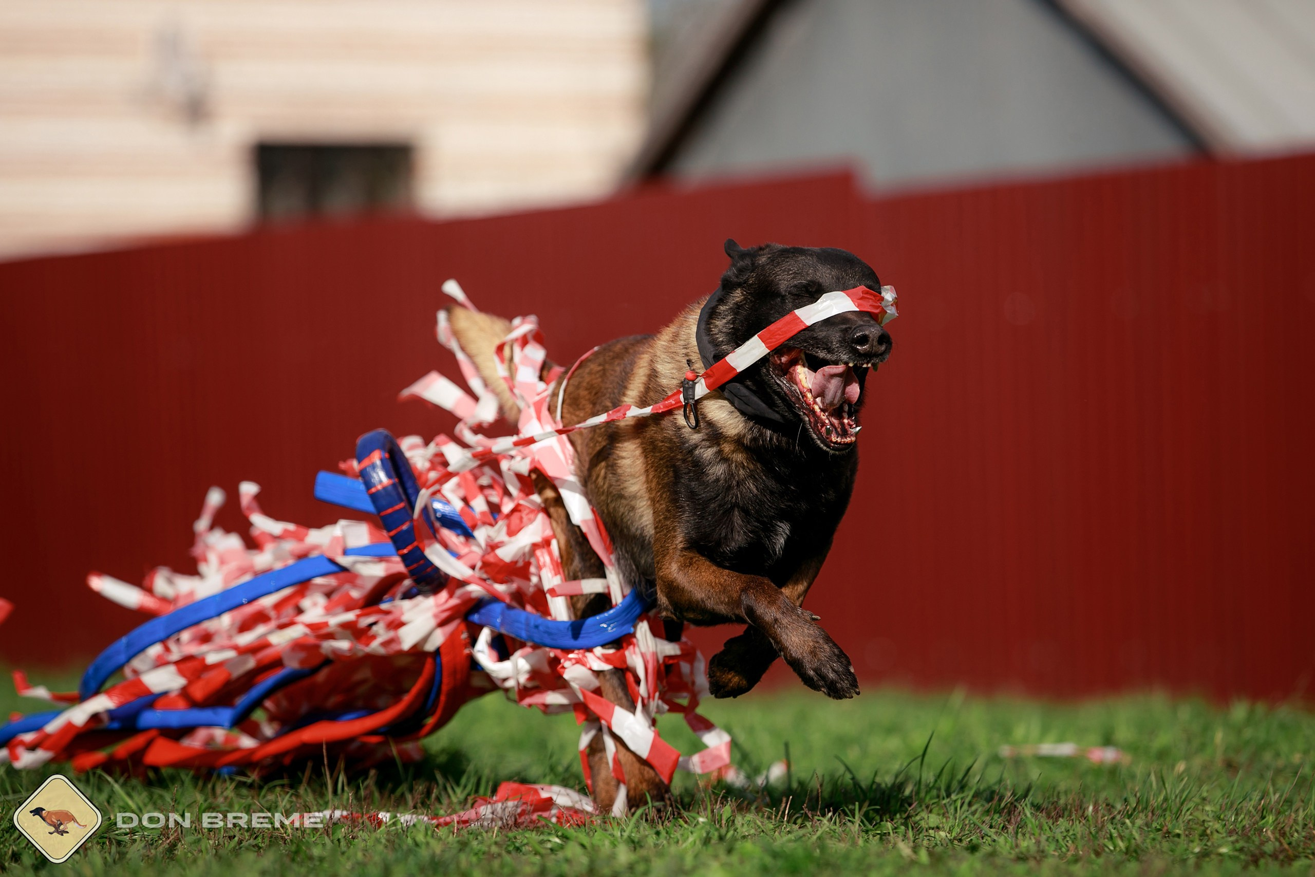 Семинар для фигурантов, день 2. Фотограф-анималист Mary Mart — Москва, Питер