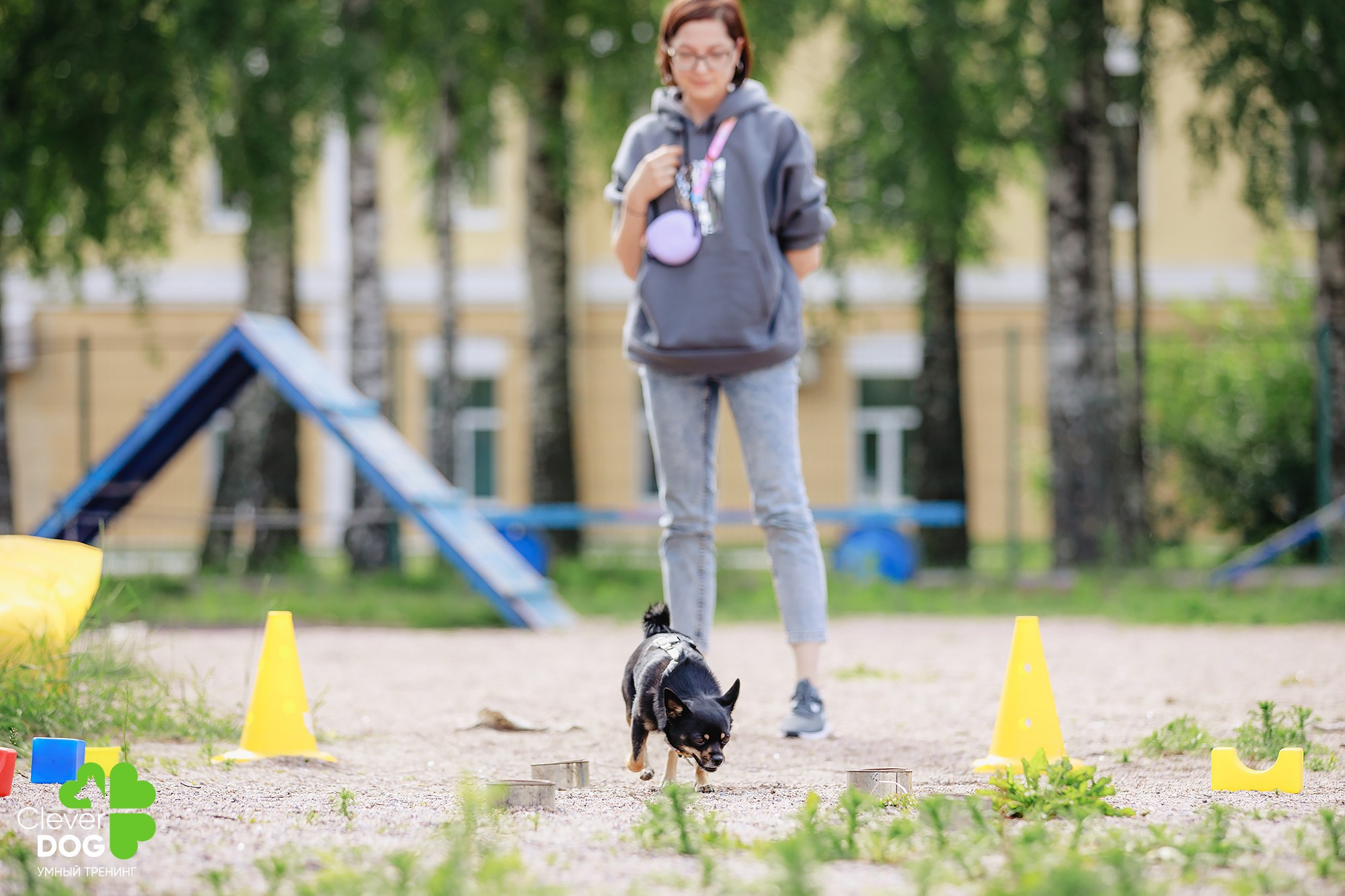 Семинар по поиску запаха с Иваном Ломовым, организатор CleverDog, СПб. Фотограф-анималист Mary Mart — Москва, Питер