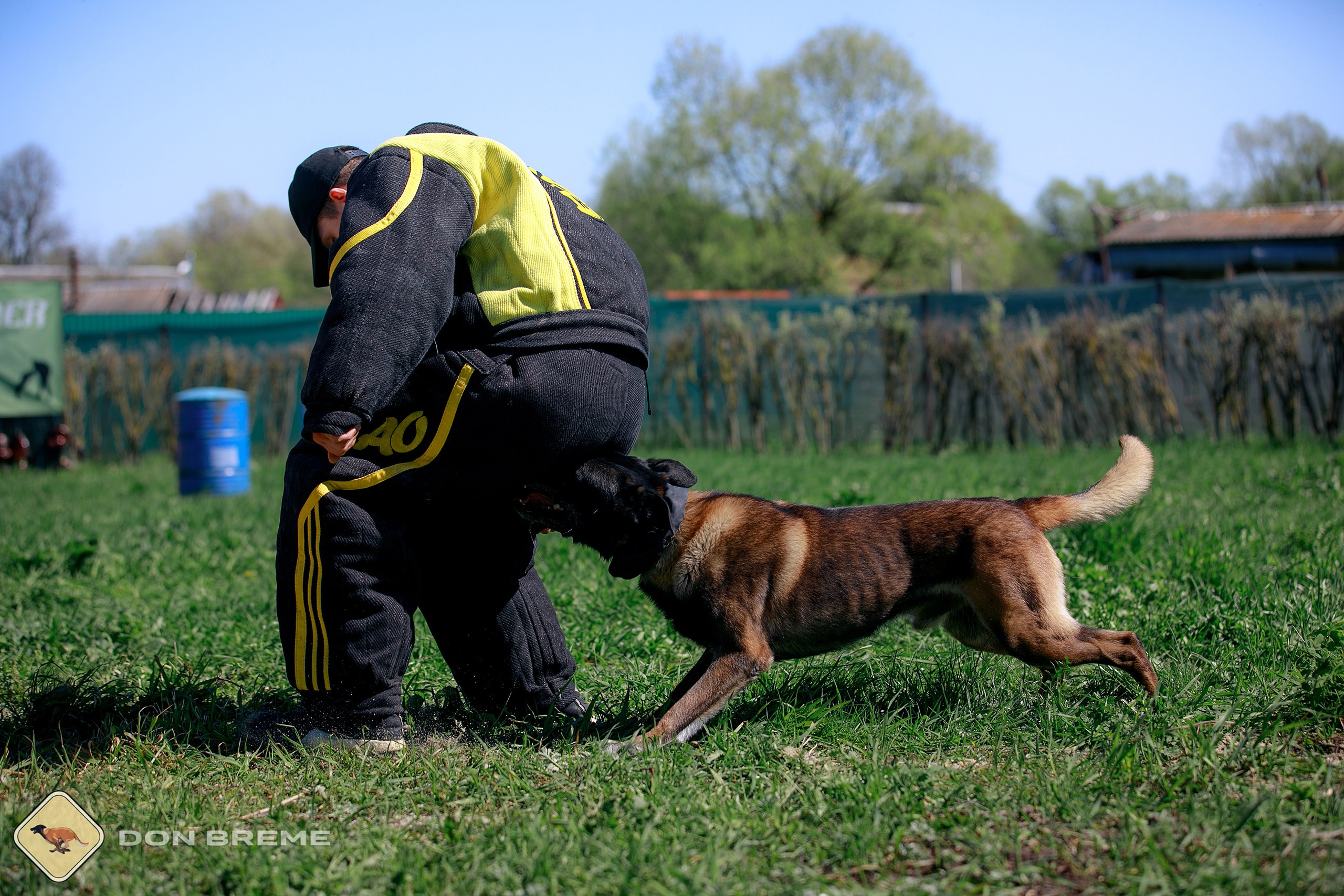 Семинар для фигурантов, день 3. Фотограф-анималист Mary Mart — Москва, Питер