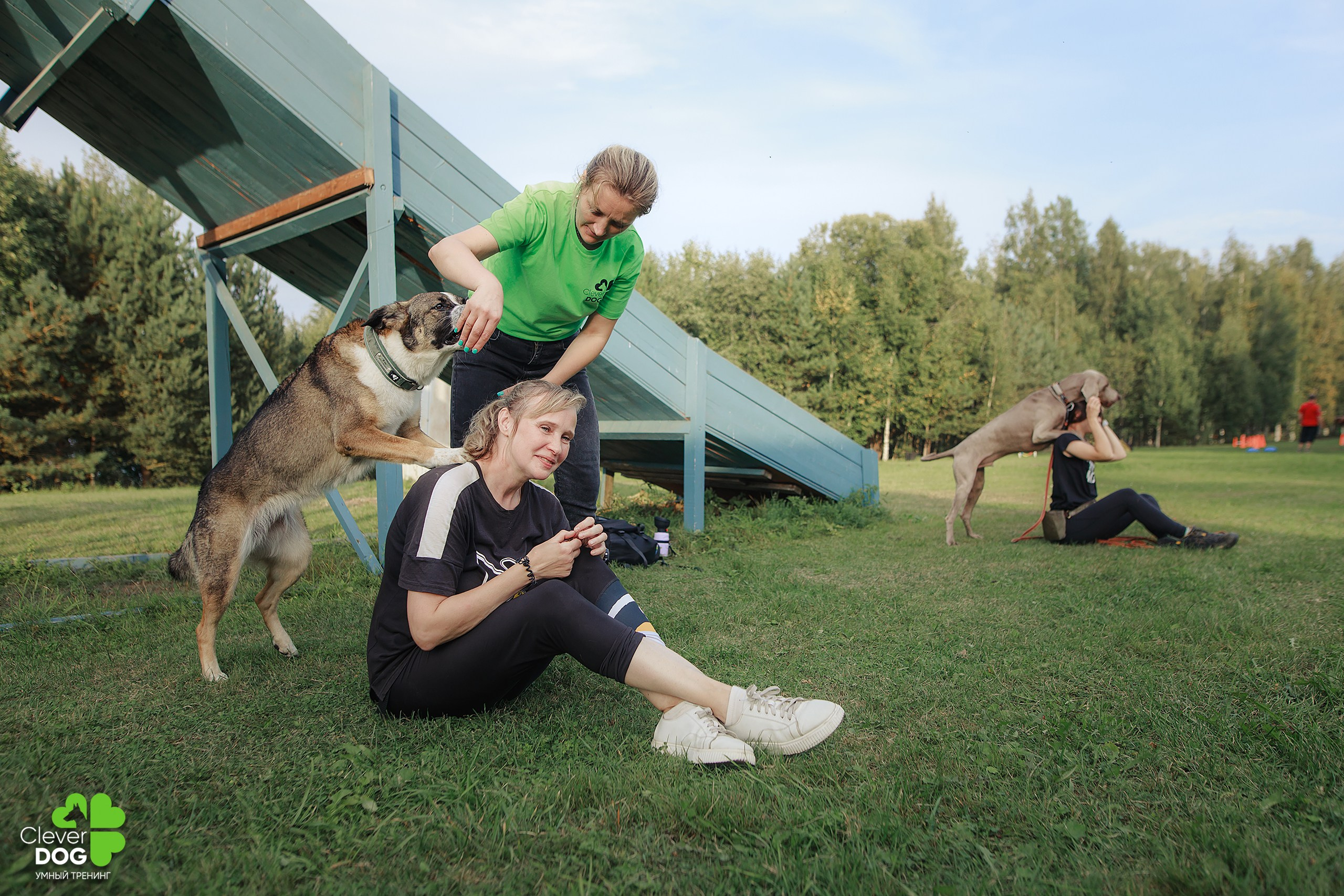 Кинологический лагерь CleverDog, 2024. Фотограф-анималист Mary Mart — Москва, Питер