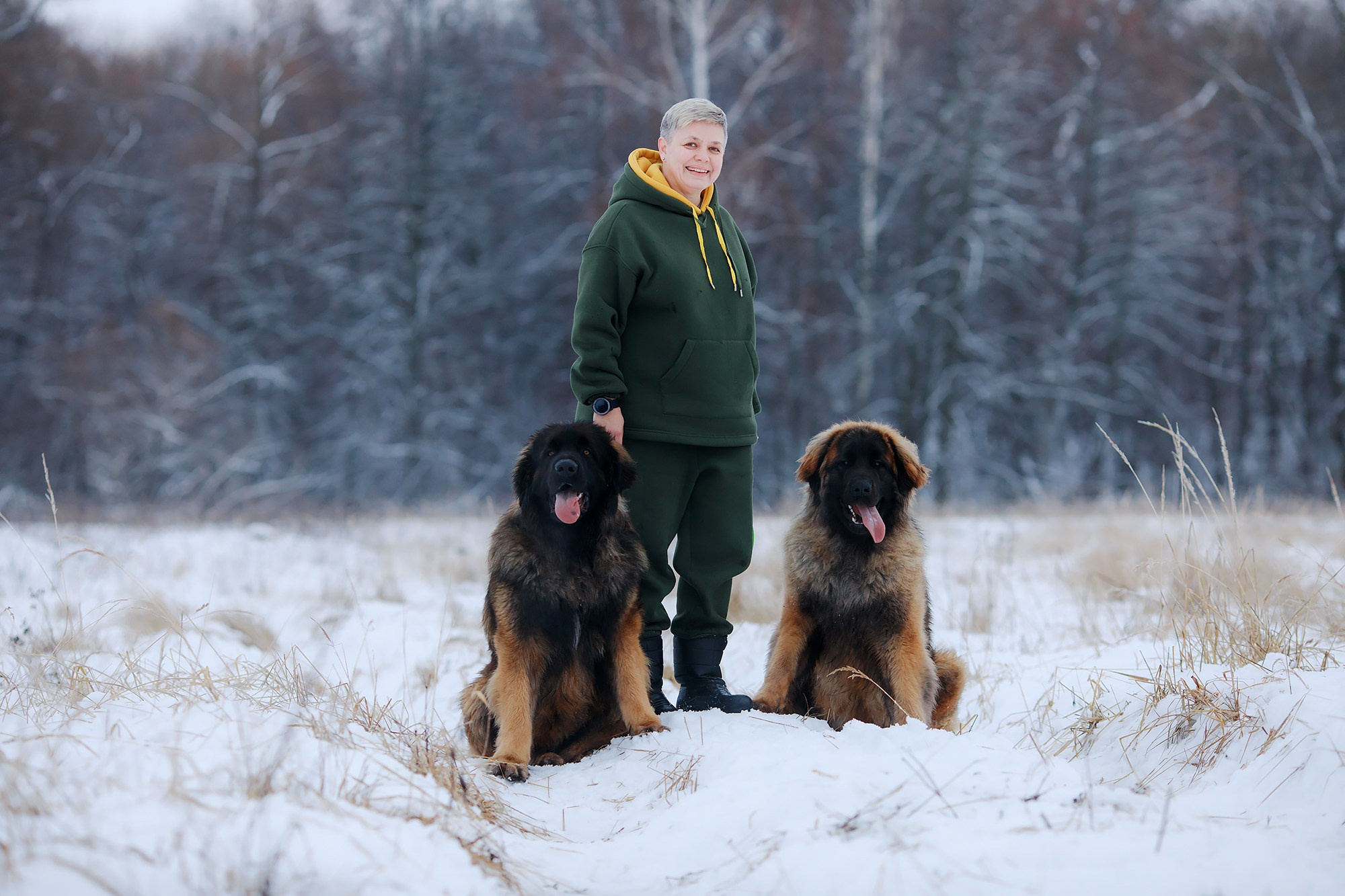 Леоненбергеры. Фотограф-анималист Mary Mart — Москва, Питер
