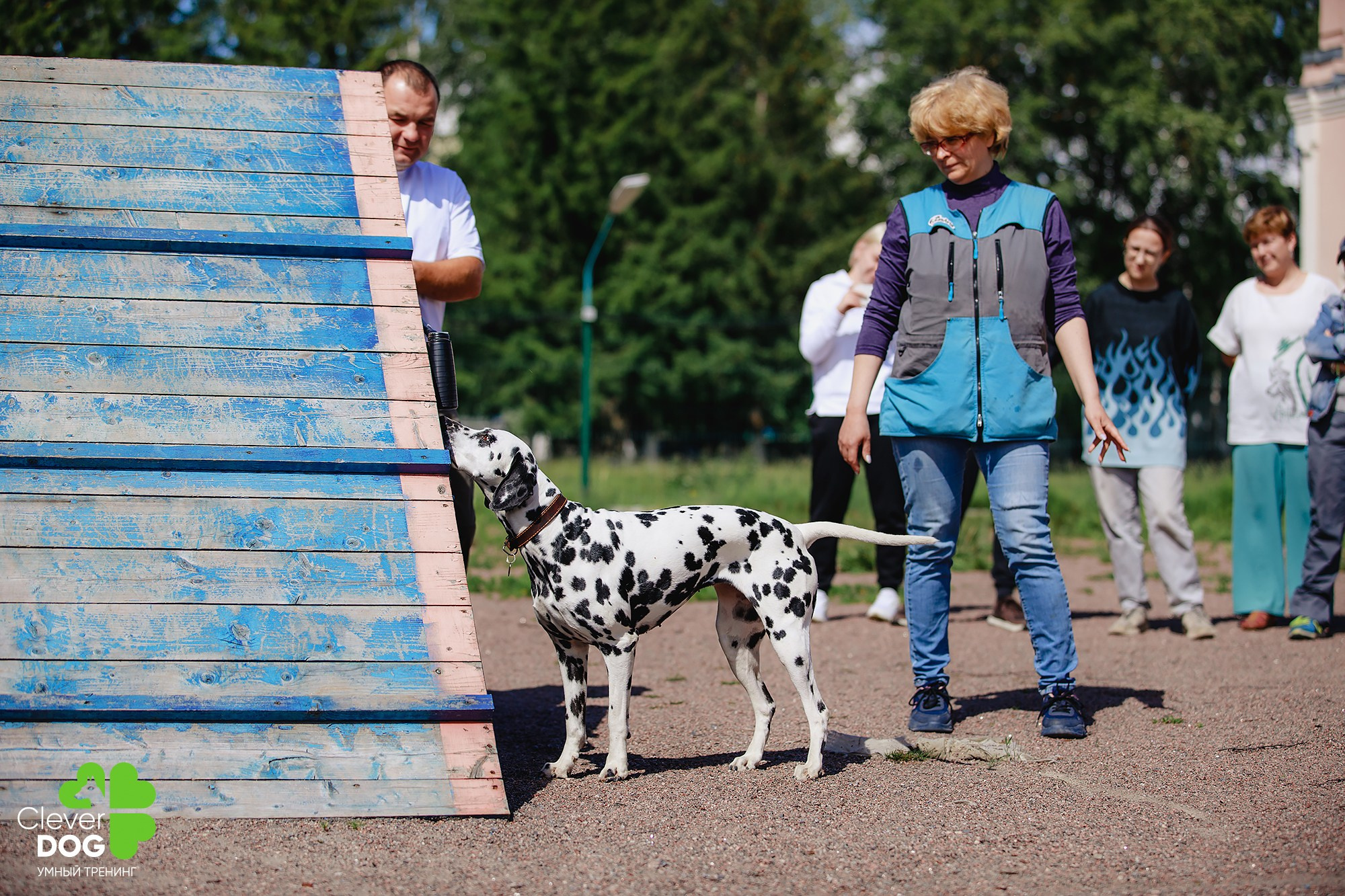 Семинар по поиску запаха с Иваном Ломовым, организатор CleverDog, СПб. Фотограф-анималист Mary Mart — Москва, Питер