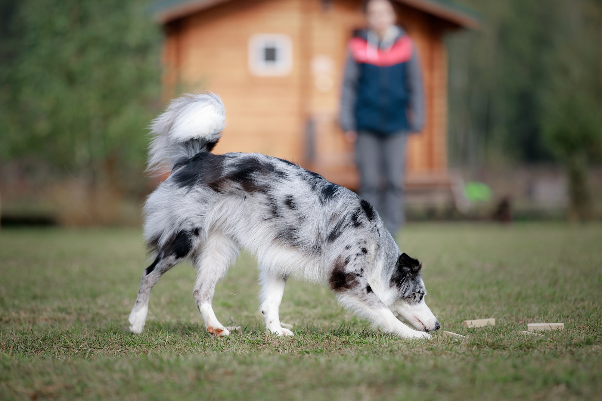 Лагерь по ОБД с Инной Баженовой. Фотограф-анималист Mary Mart — Москва, Питер