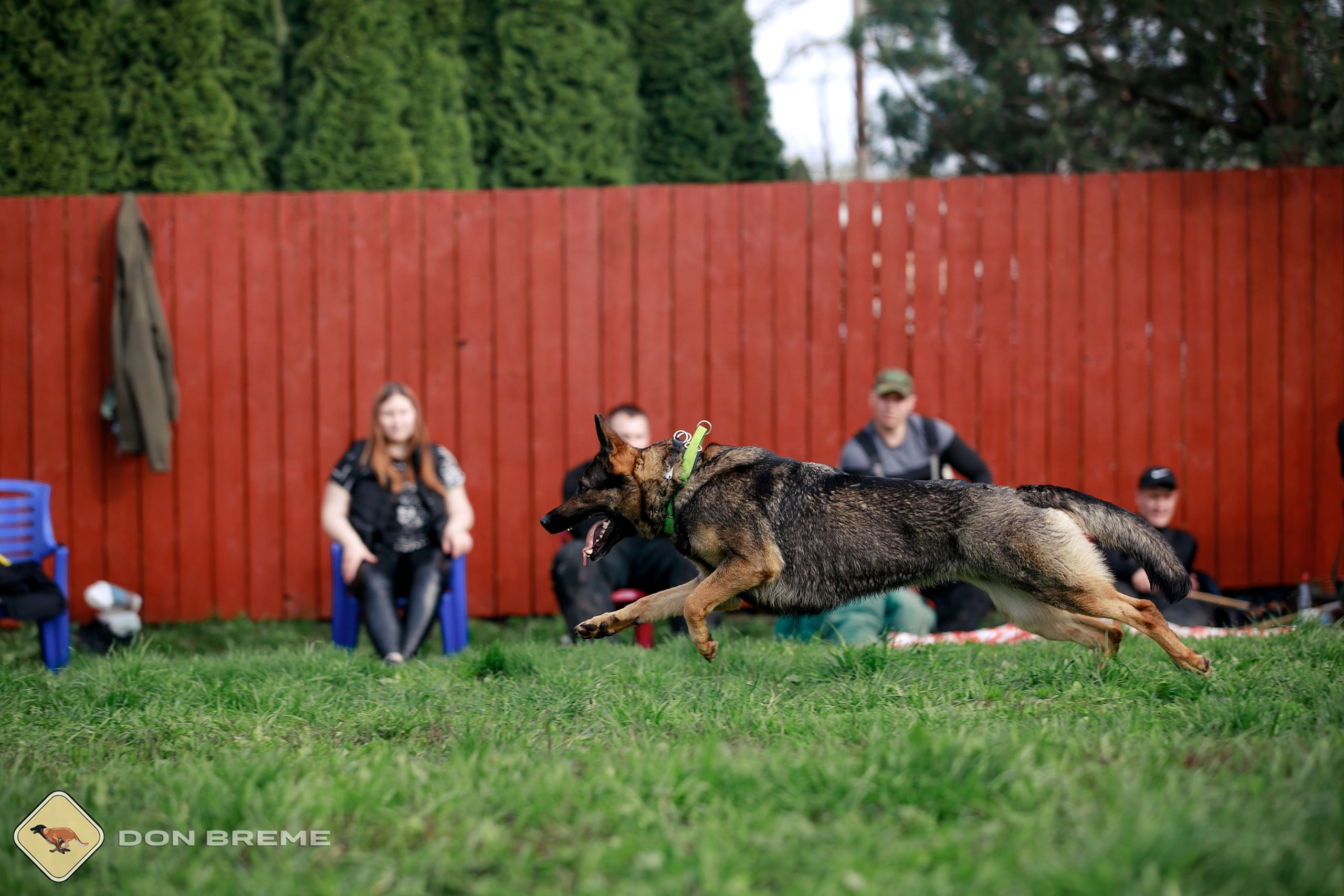Семинар для фигурантов, день 2. Фотограф-анималист Mary Mart — Москва, Питер