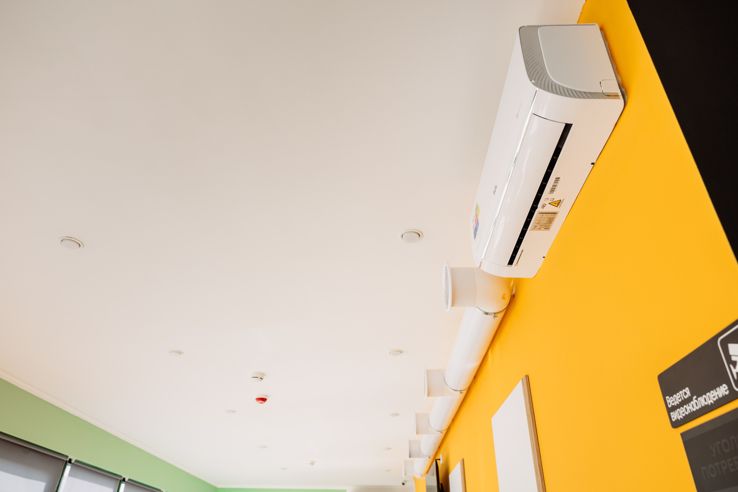 ЧЕБ И РЕК | РИО. ФОТОГРАФ ИРИНА ШАМАТАВА