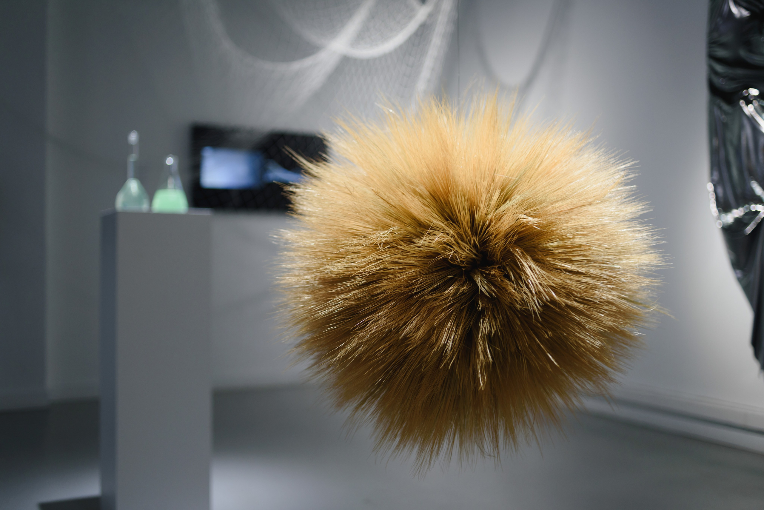 Выставки. Фотограф Руслан Хафизов