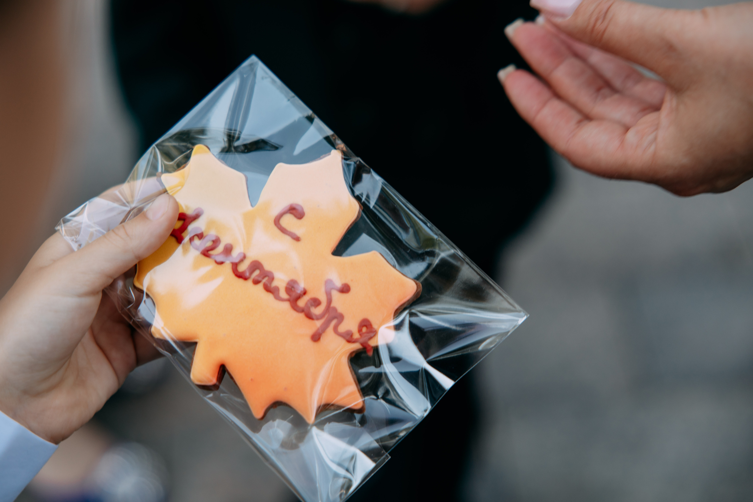 1 сентября. Фото и видео съемка. Андрей Ионов