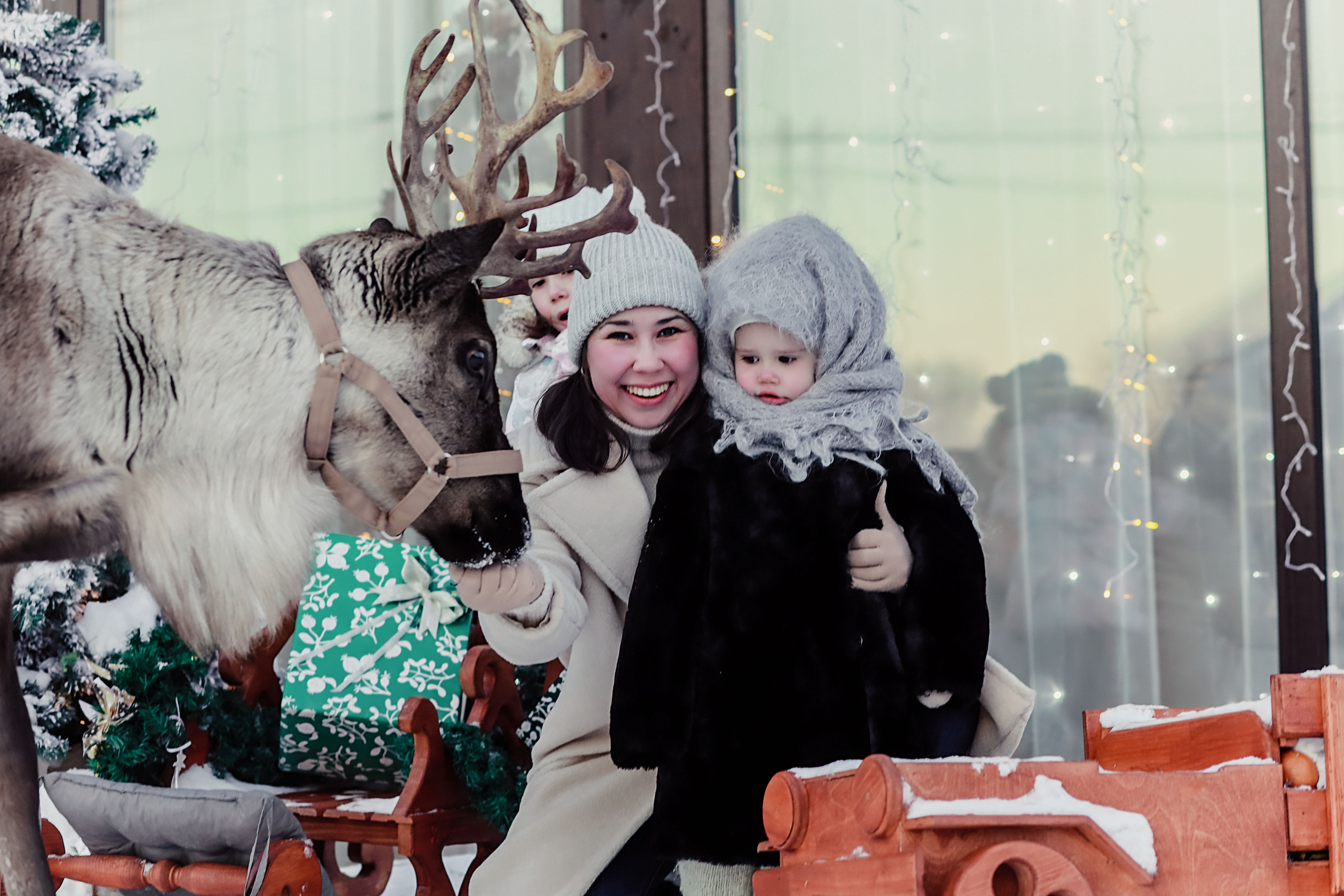 Семейная фотосессия с оленем. Иванова Ирина Свадебный и семейный фотограф г. Уфа