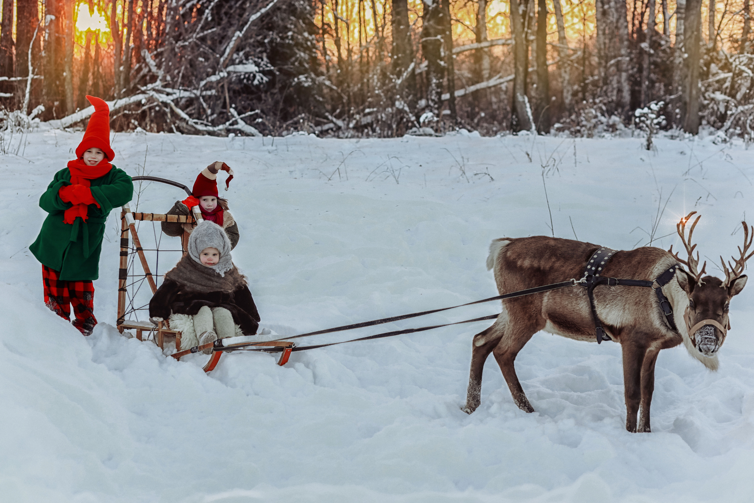 Семейная фотосессия с оленем. Иванова Ирина Свадебный и семейный фотограф г. Уфа