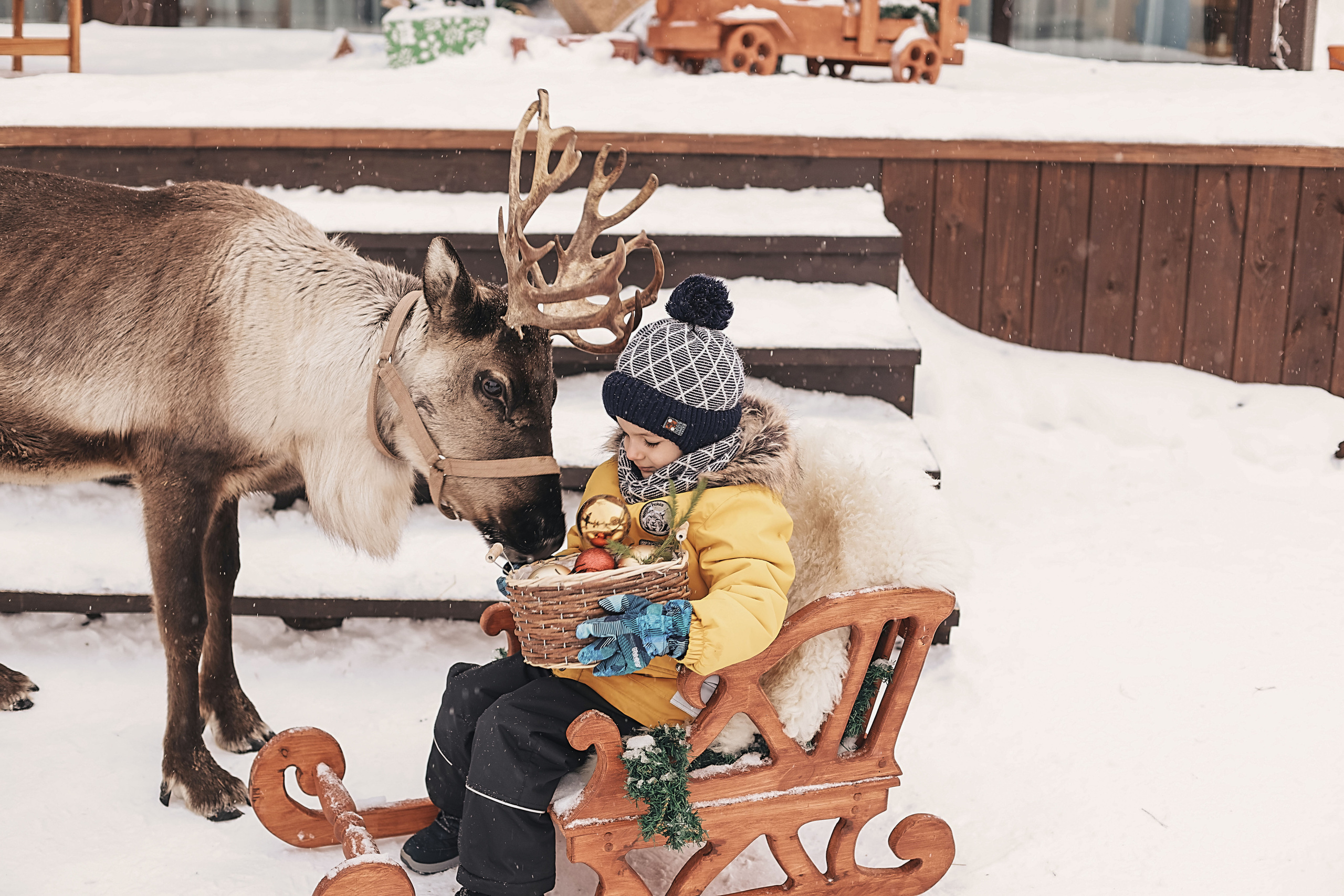 Фотосессия с оленем. Иванова Ирина Свадебный и семейный фотограф г. Уфа