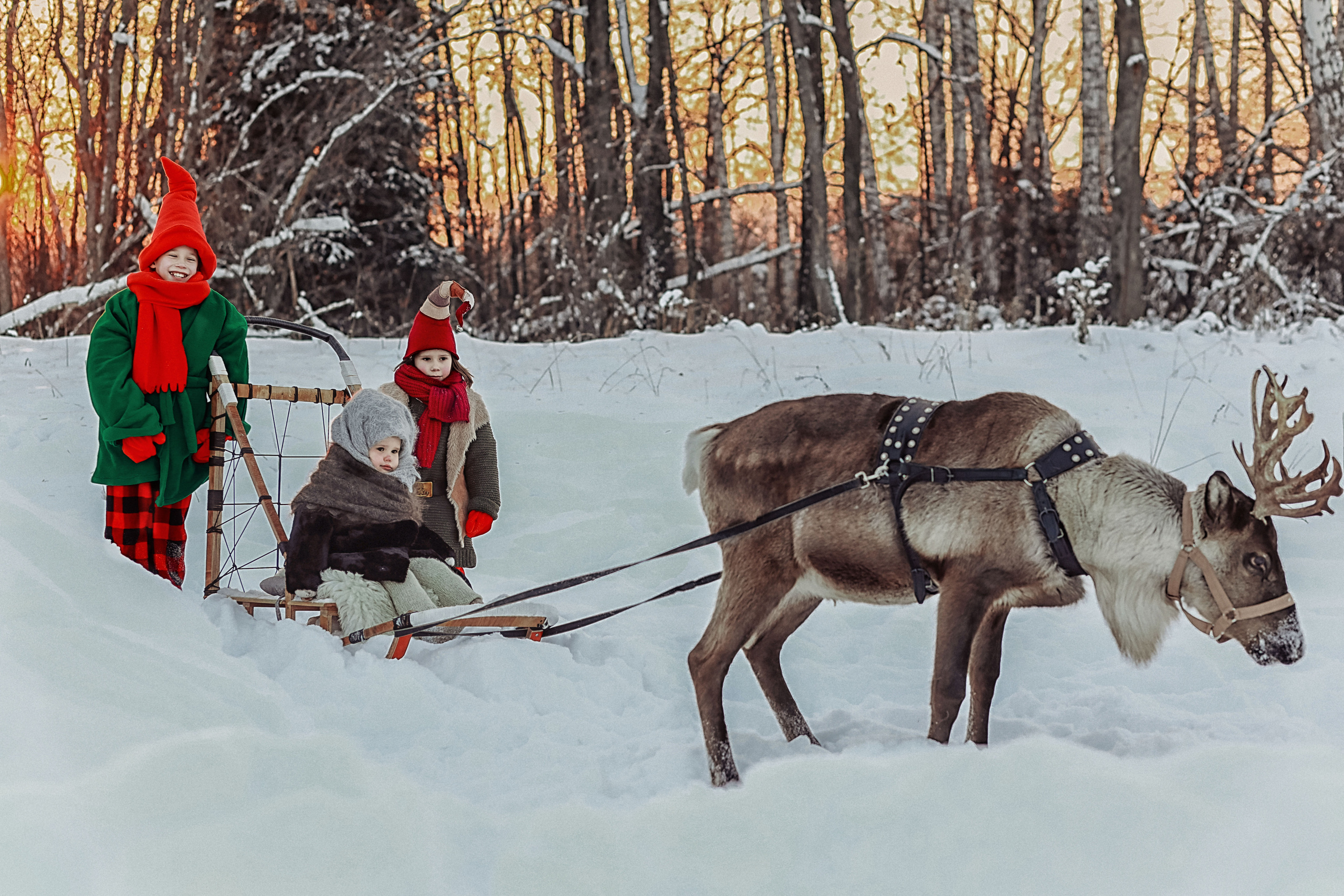 Семейная фотосессия с оленем. Иванова Ирина Свадебный и семейный фотограф г. Уфа