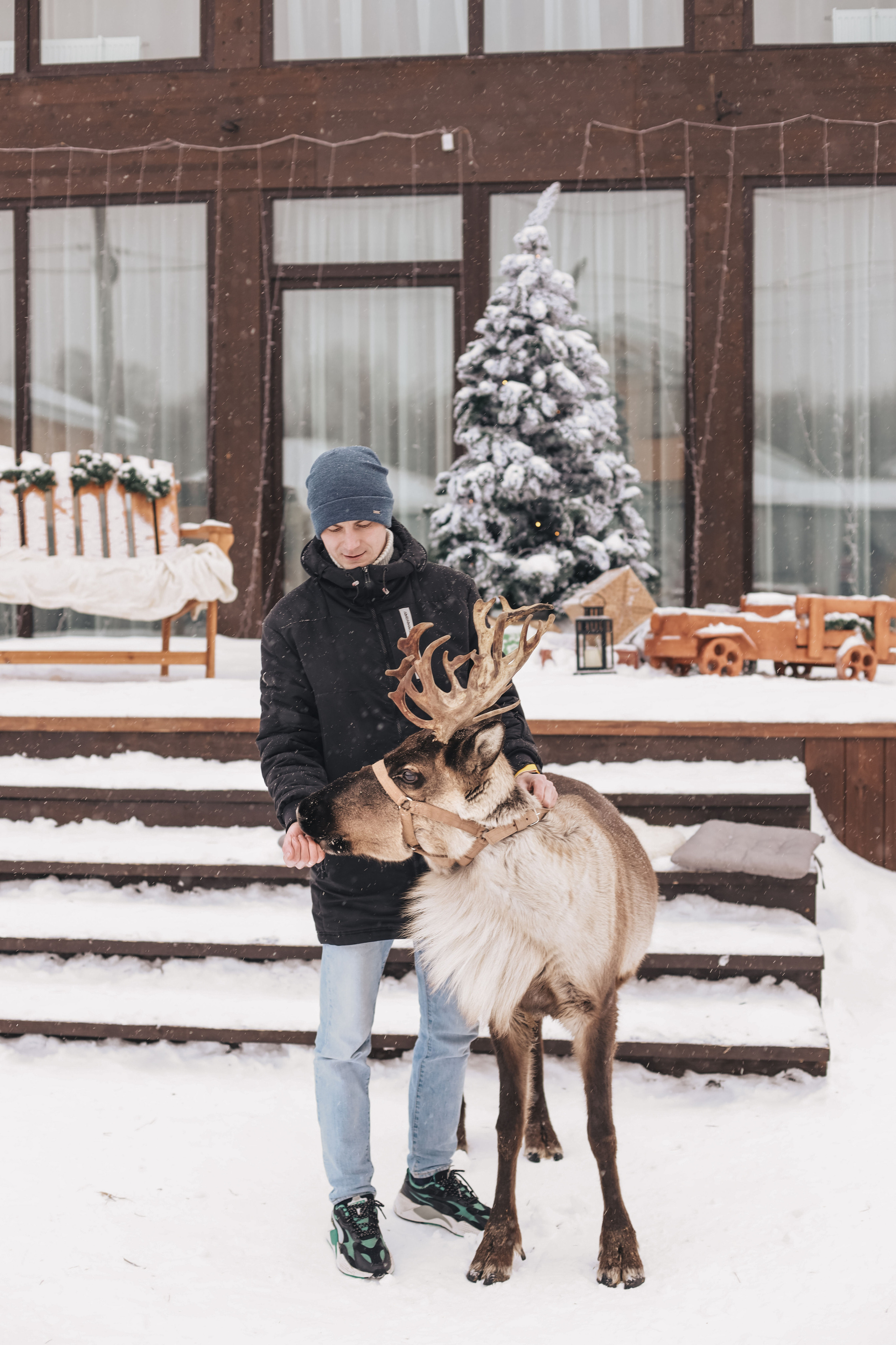 Фотосессия с оленем. Иванова Ирина Свадебный и семейный фотограф г. Уфа