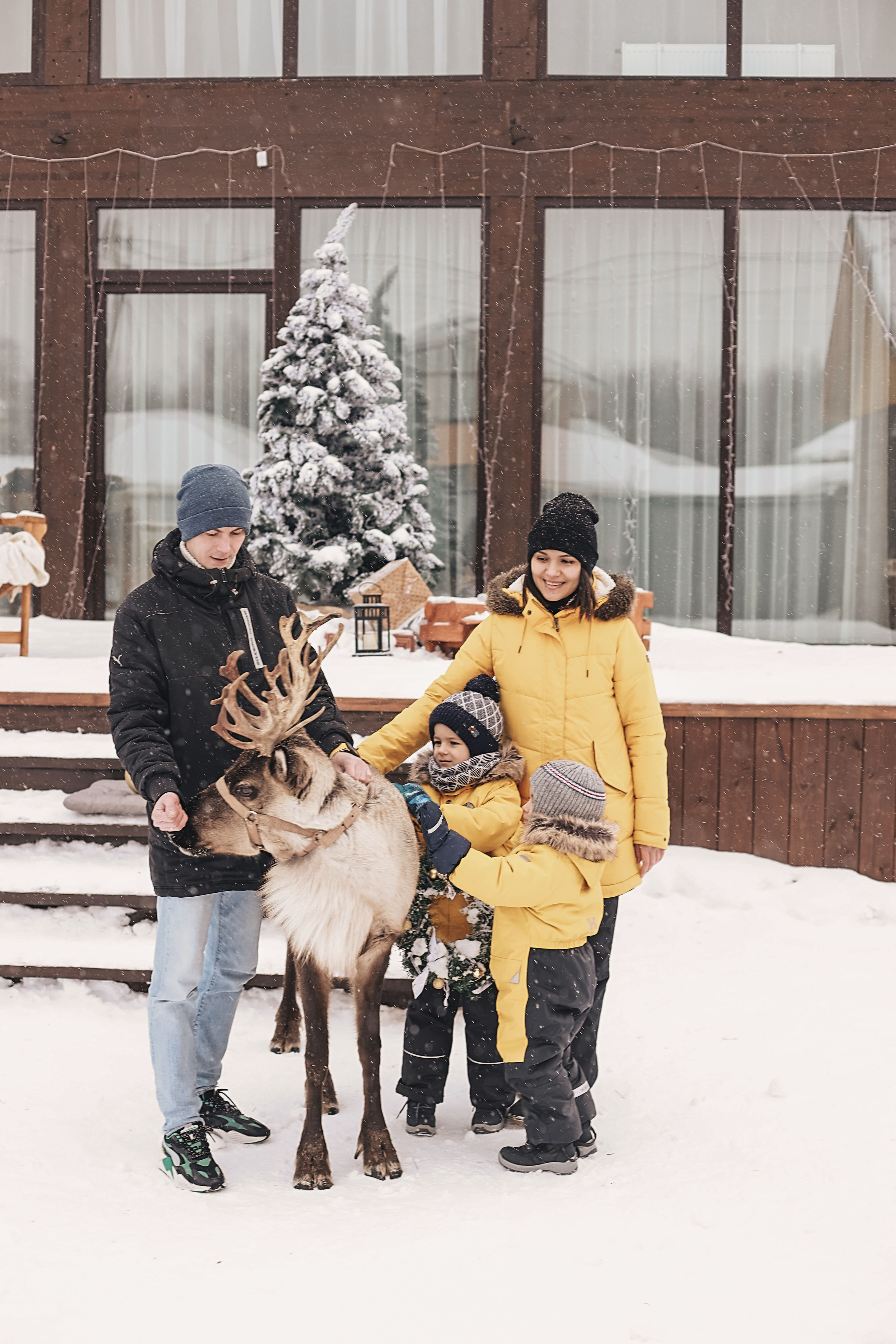 Фотосессия с оленем. Иванова Ирина Свадебный и семейный фотограф г. Уфа