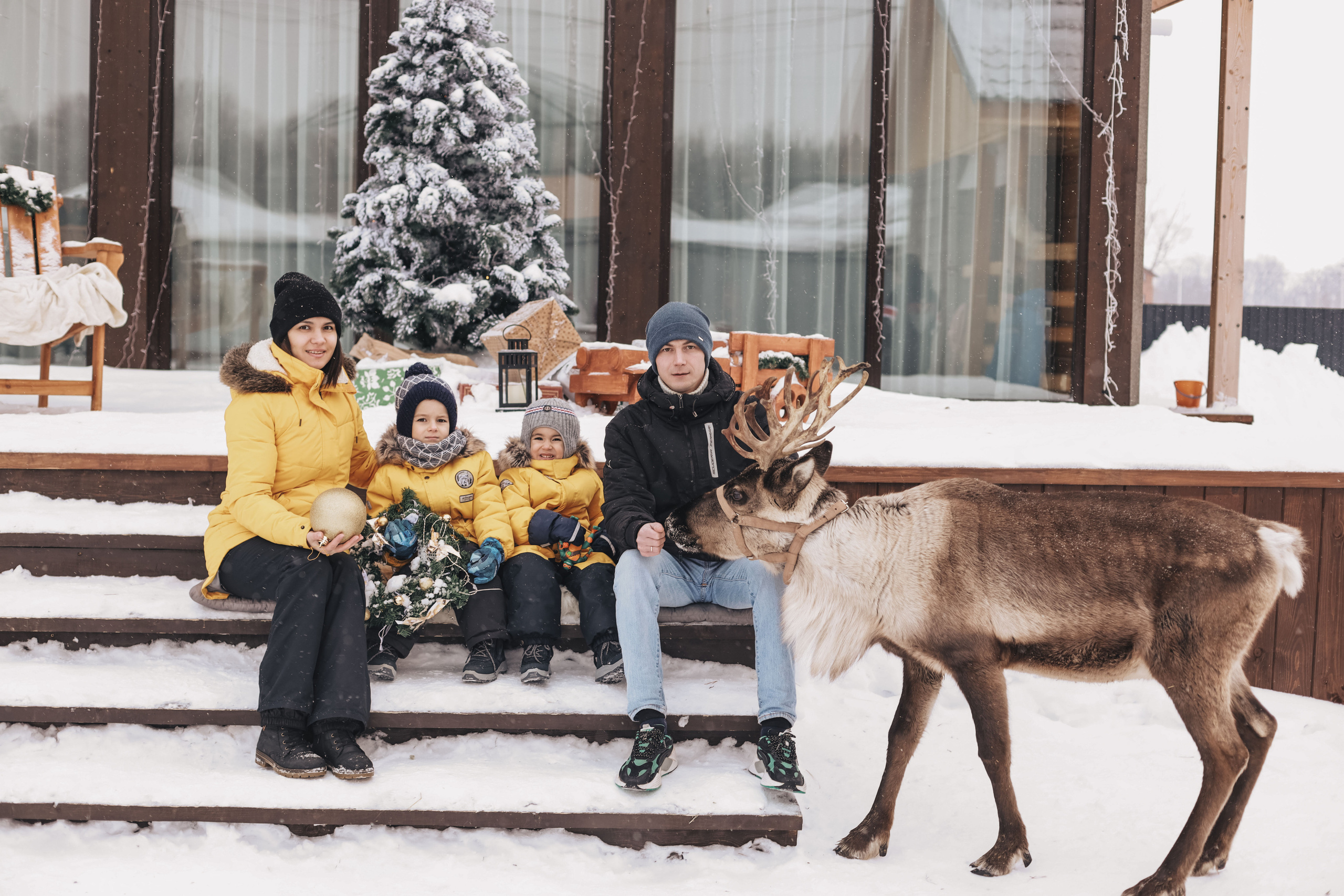 Фотосессия с оленем. Иванова Ирина Свадебный и семейный фотограф г. Уфа