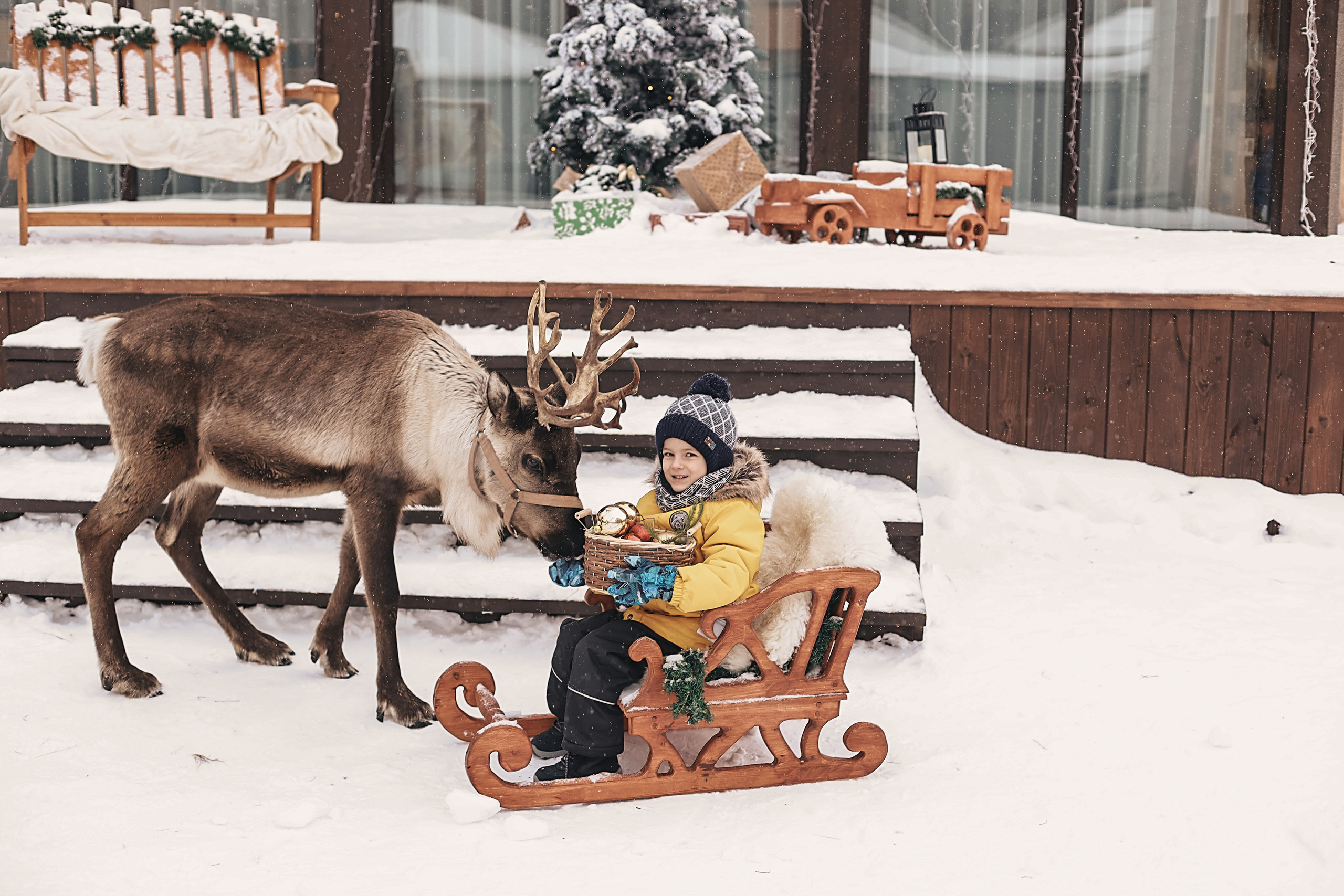 Фотосессия с оленем. Иванова Ирина Свадебный и семейный фотограф г. Уфа