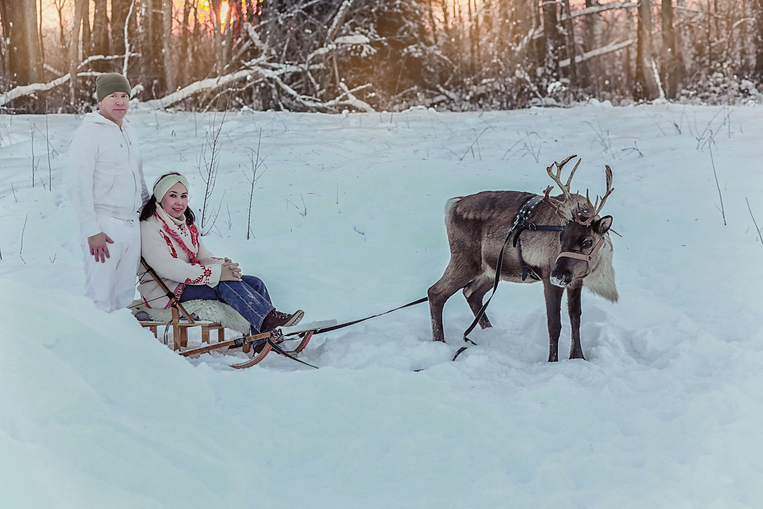 Семейная фотосессия с оленем. Иванова Ирина Свадебный и семейный фотограф г. Уфа
