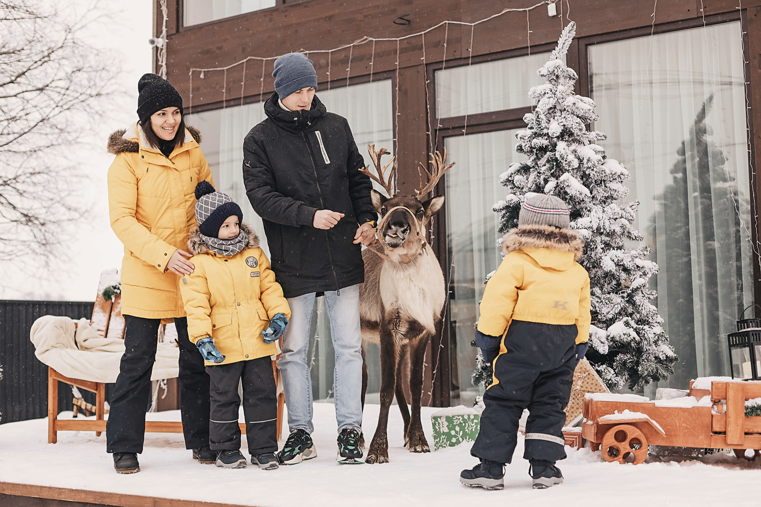 Фотосессия с оленем. Иванова Ирина Свадебный и семейный фотограф г. Уфа