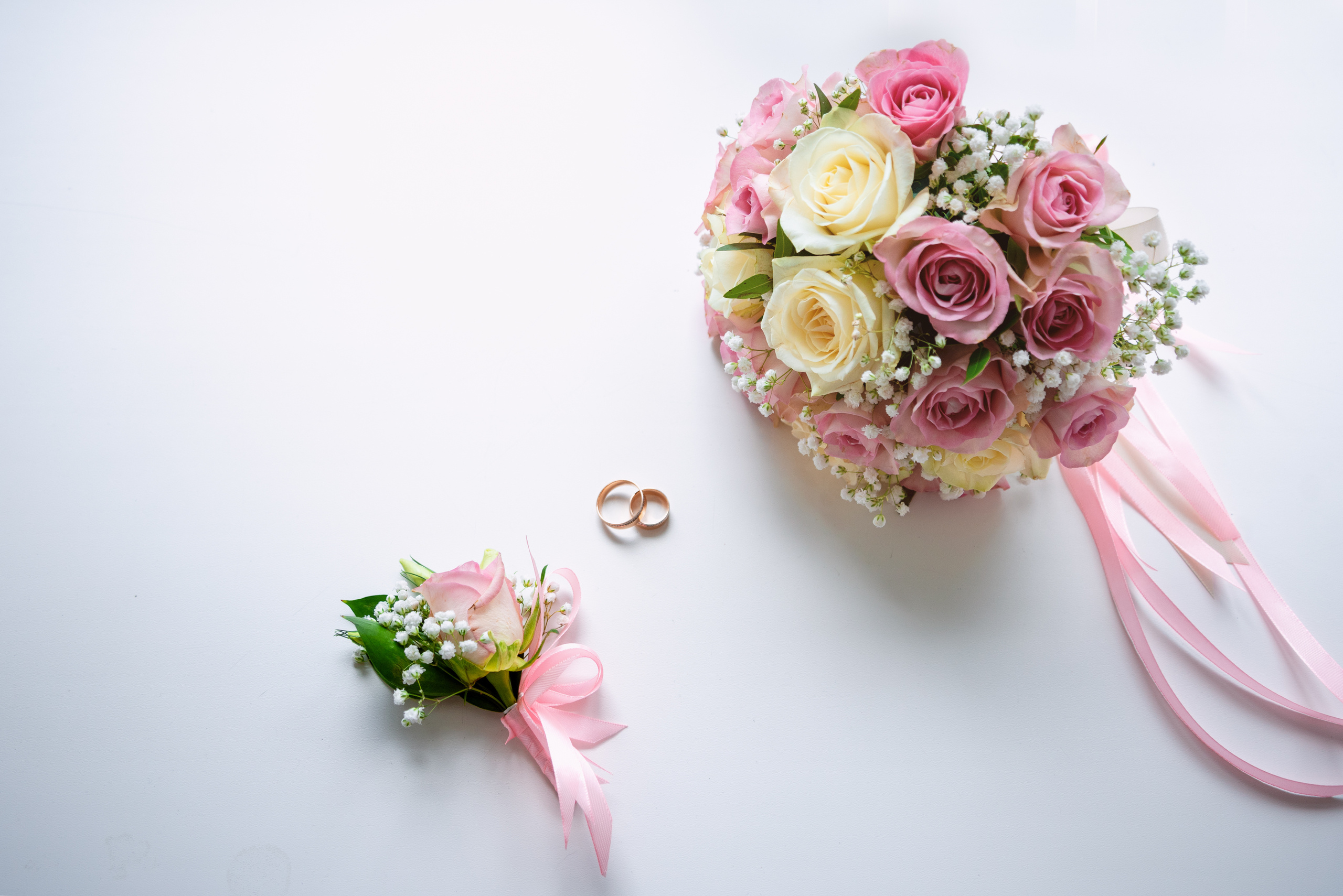 Анна&Дмитрий. Вероника Дмитриева Фотограф Барнаул