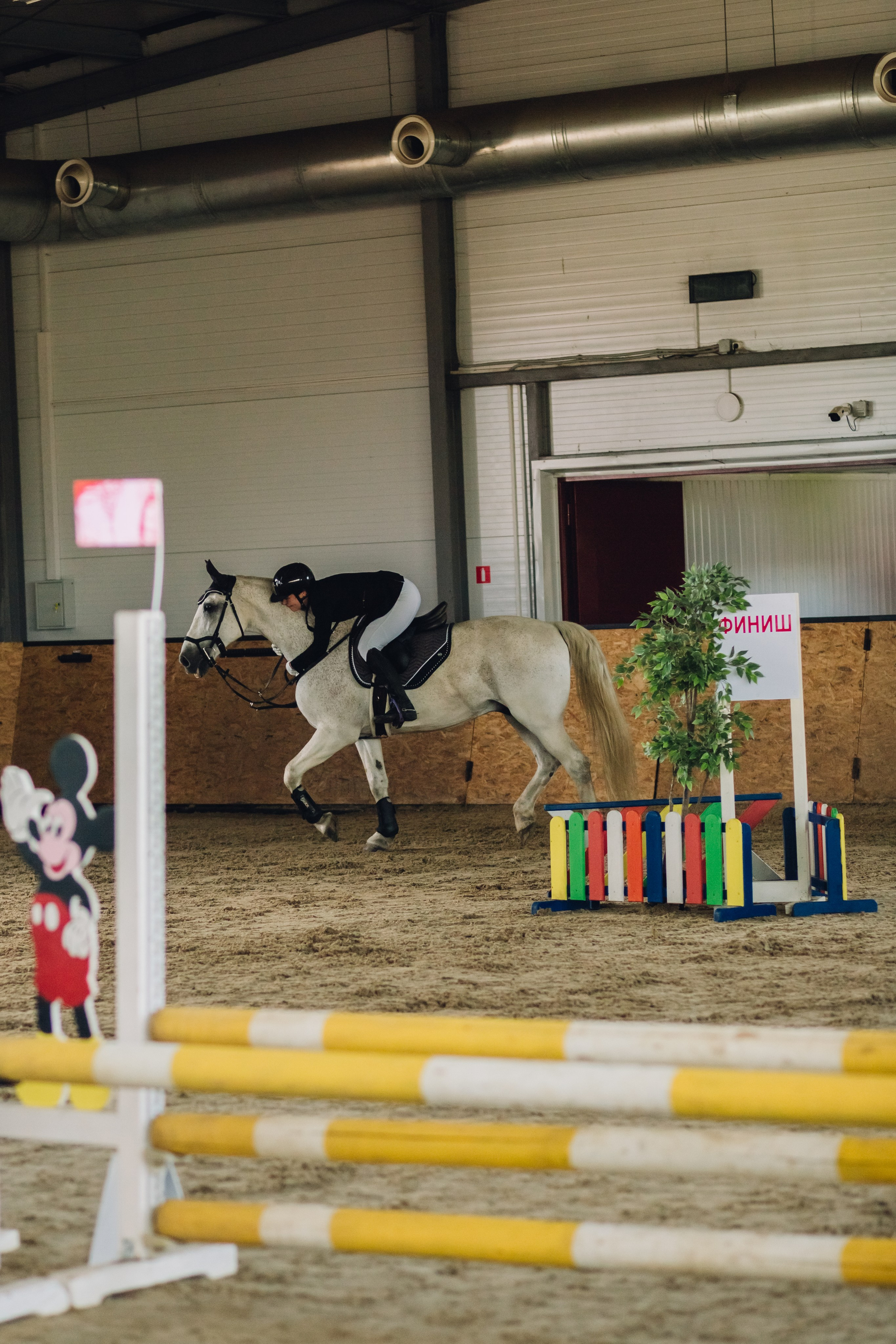 Соревнования. Ольга Белова. Портреты с лошадьми. Конная фотография