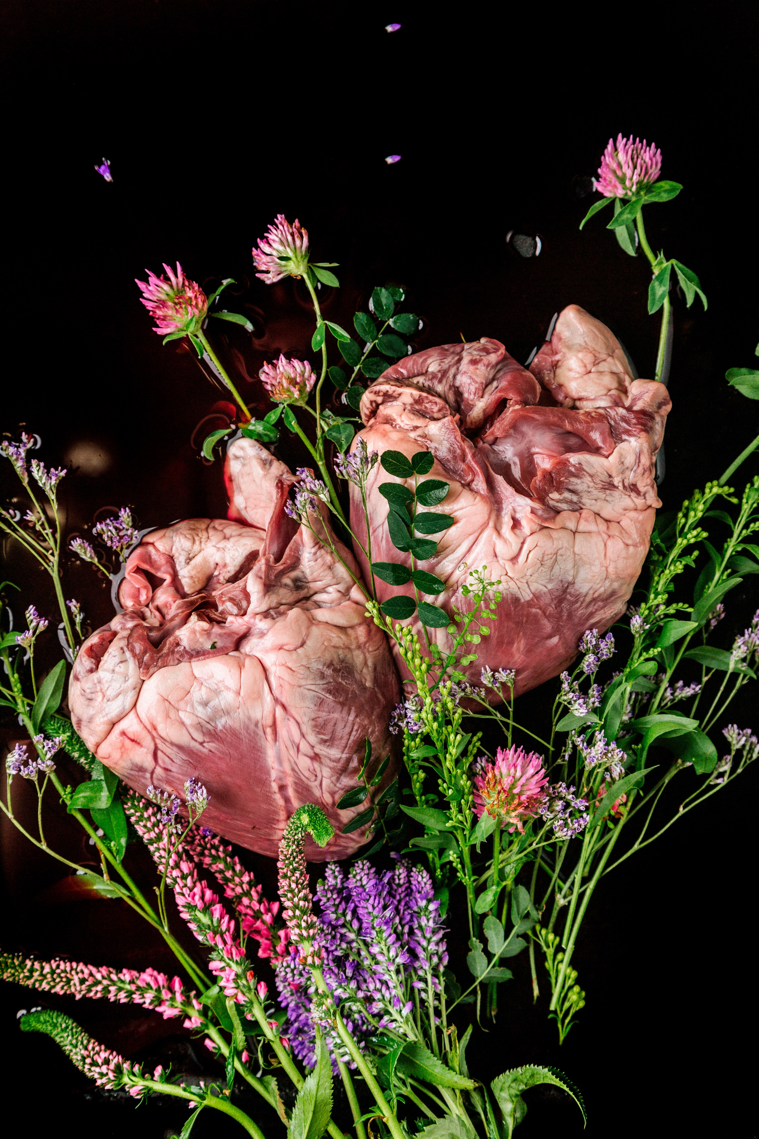 Сердечная серия